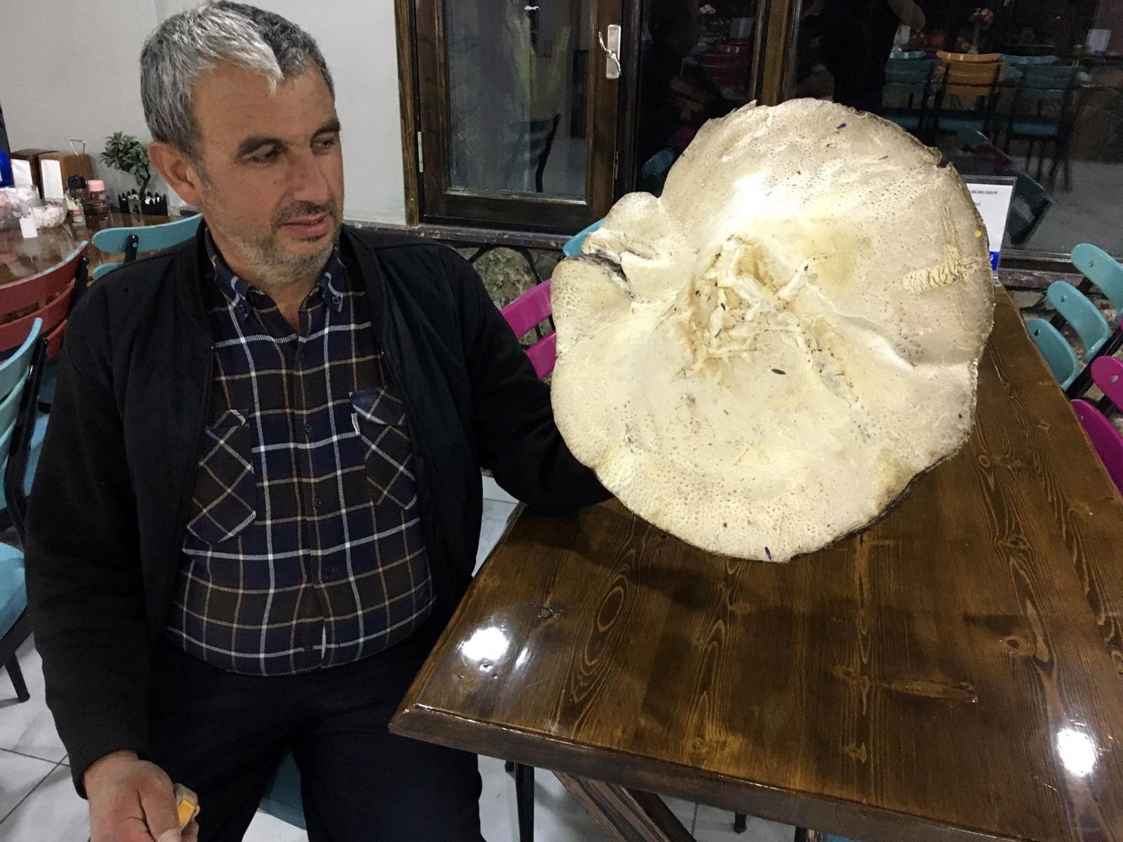 Ernail Çiçek poses with the large mushroom he found in Gümüşhane, Turkey, June 28, 2022. (IHA Photo)