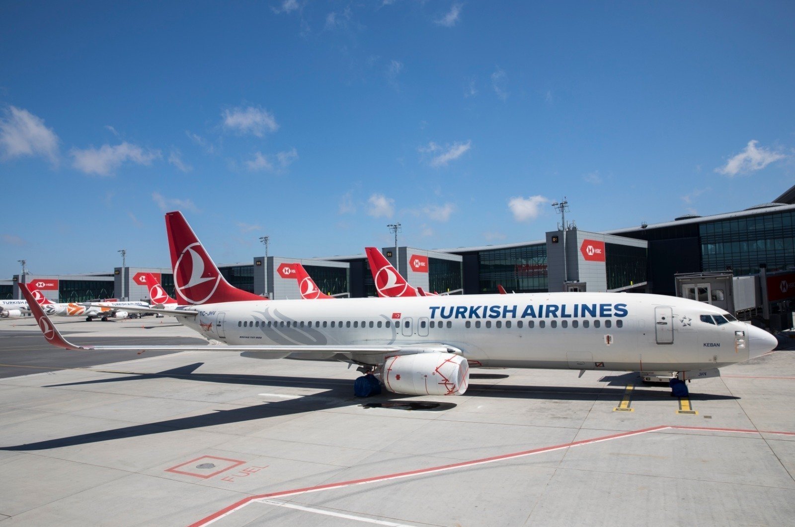 Turkish Airlines dinobatkan sebagai ‘pembawa bendera paling berkelanjutan’ oleh World Finance