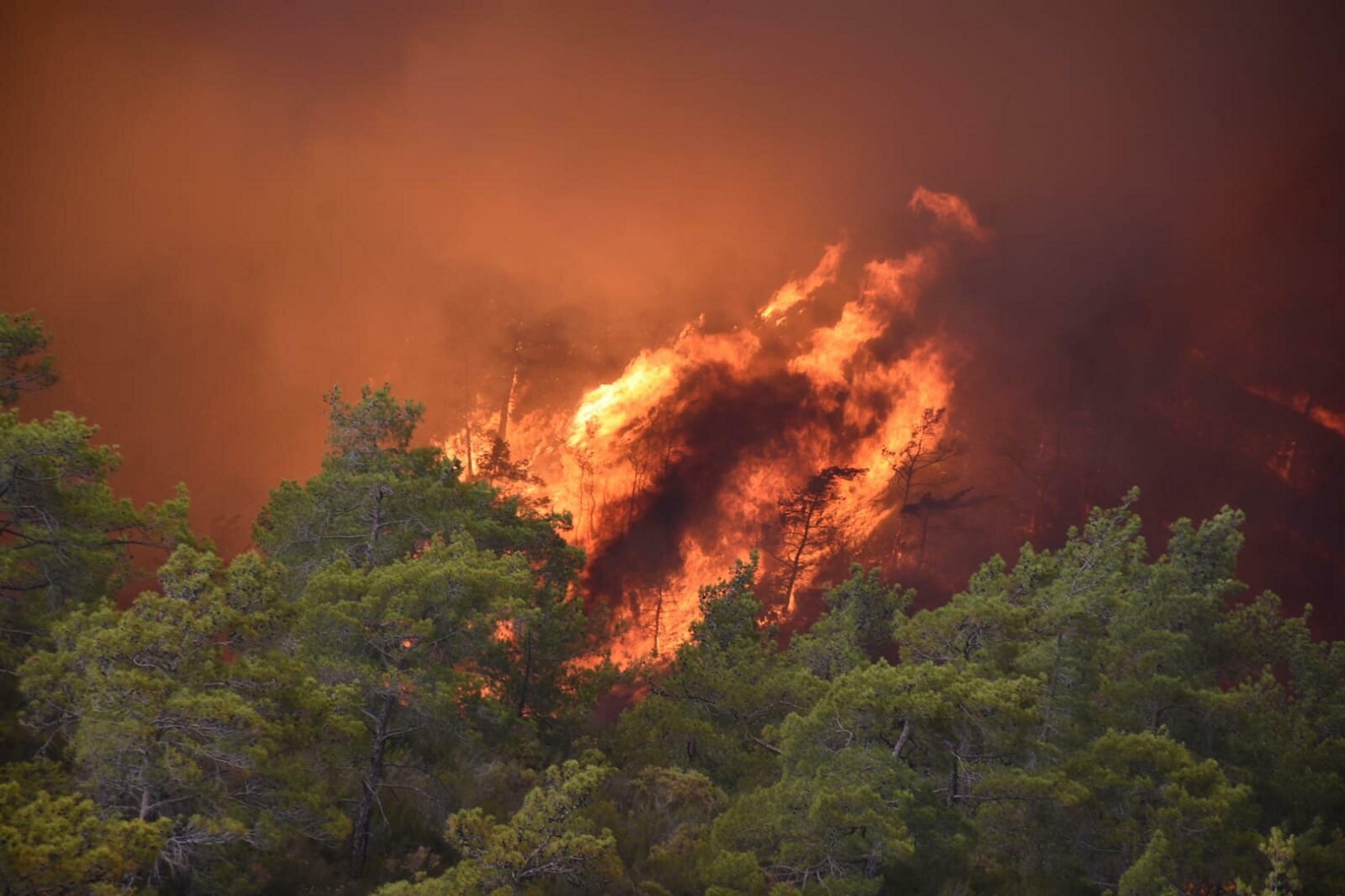 A view of the forest fire in Marmaris, Muğla, southwestern Turkey, June 24, 2022. (DHA PHOTO)
