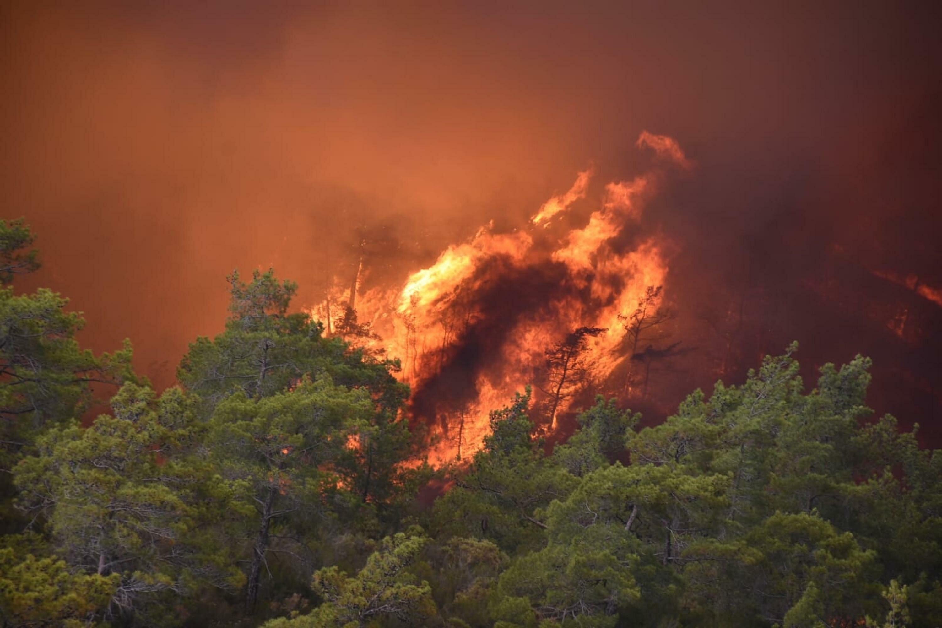 Pemandangan kebakaran hutan di Marmaris, Muğla, barat daya Turki, 24 Juni 2022. (DHA PHOTO)