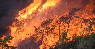 A view of the forest fire in Marmaris, Muğla, southwestern Turkey, June 24, 2022. (DHA PHOTO)