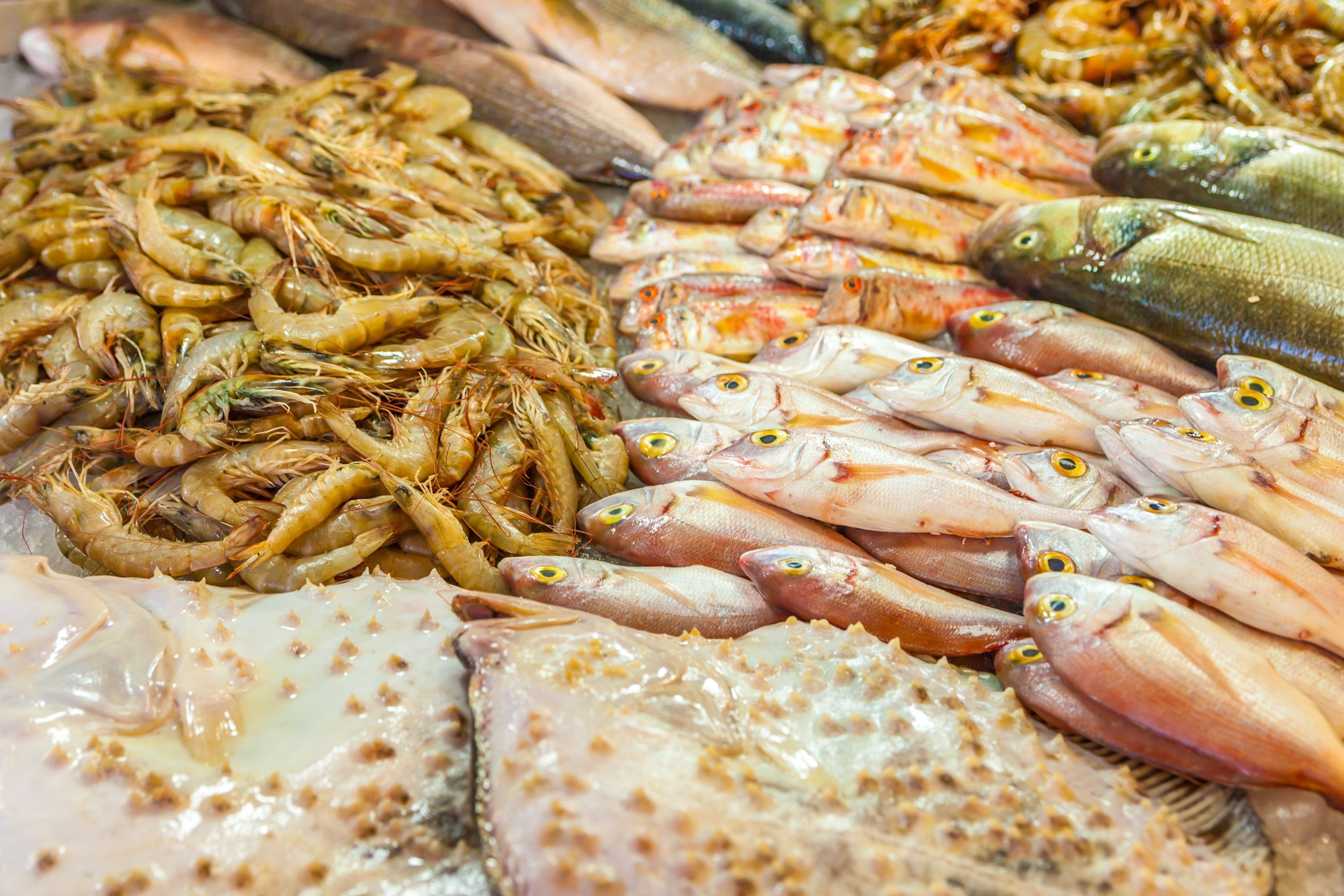 Fish and seafood at the Fish Market in Fethiye, Muğla, Turkey. (Shutterstock Photo)