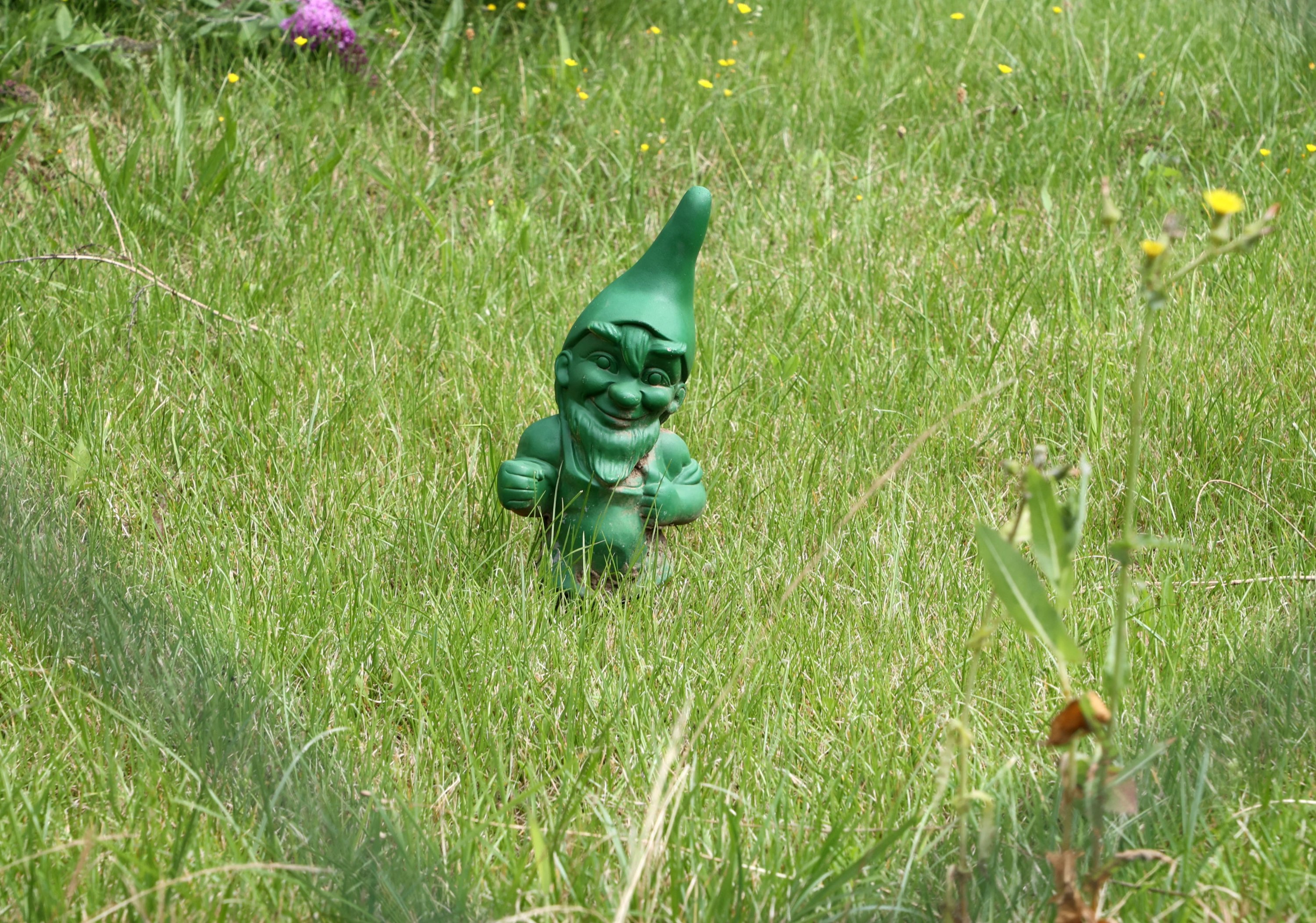 For a long time, garden gnomes were prized status symbols exclusive to the upper classes. (DPA)ü