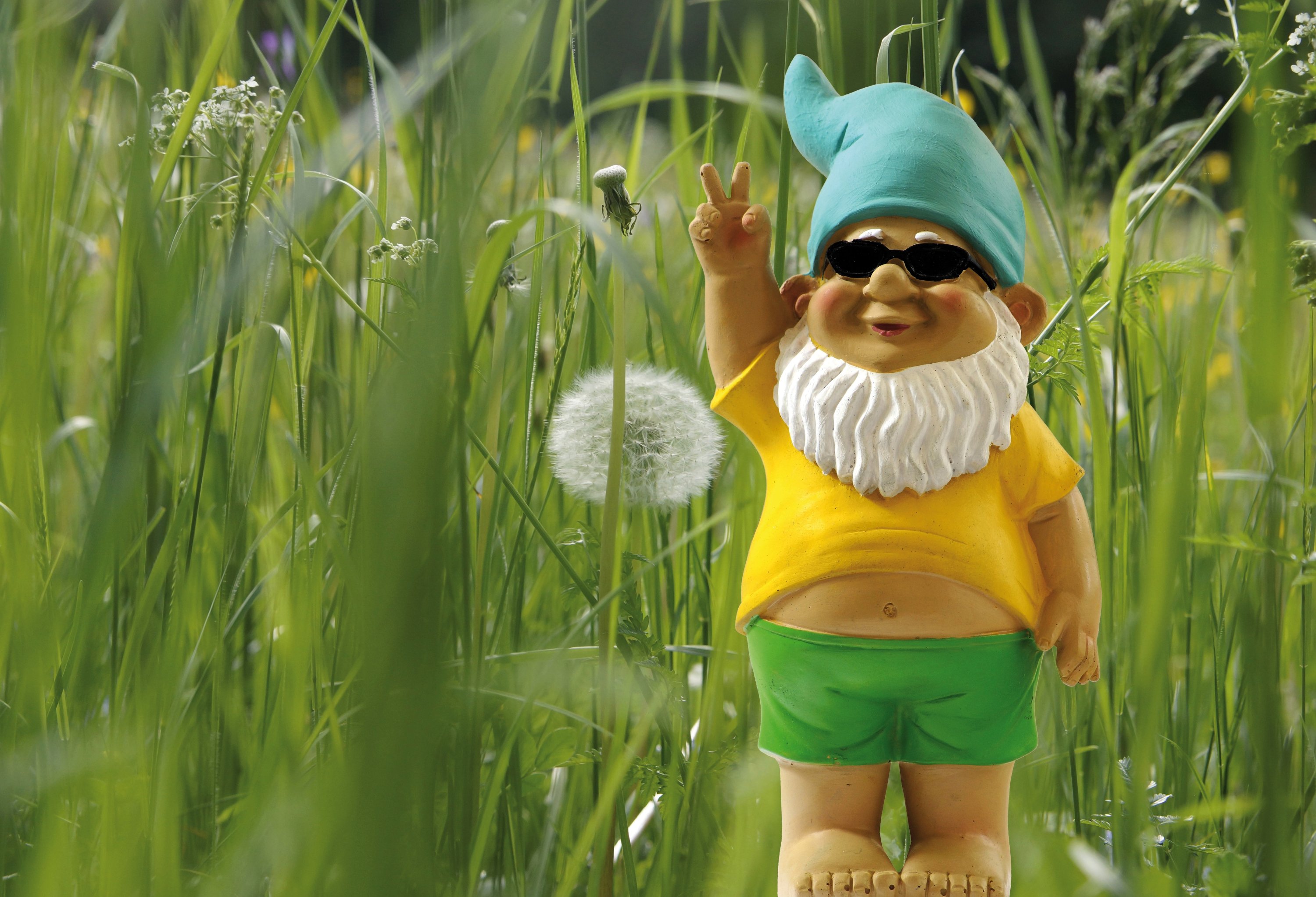 Garden gnomes come in all sizes and colors in recent times. (Shutterstock) 