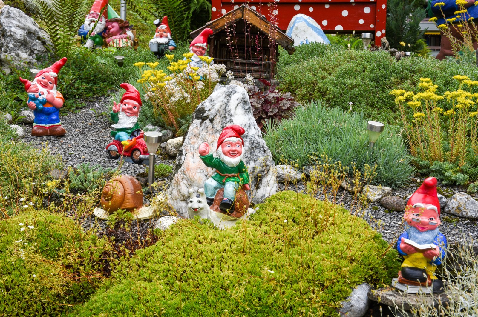 Real garden gnomes wear a pointed cap and engage in a nature-oriented or friendly activity. (Shutterstock) 