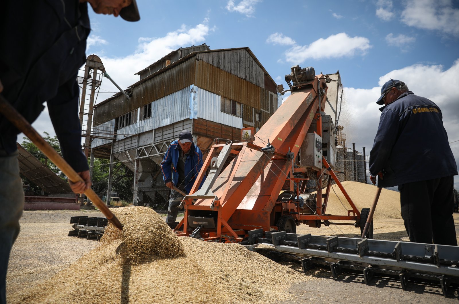 Ukrainian farmers load barley during harvest in the Odessa area, Ukraine, June 23, 2022. (EPA Photo)