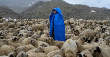 Hafiz, an Afghan shepherd, stands in the rain in Tunceli, Turkey, June 13, 2022. (AFP PHOTO)