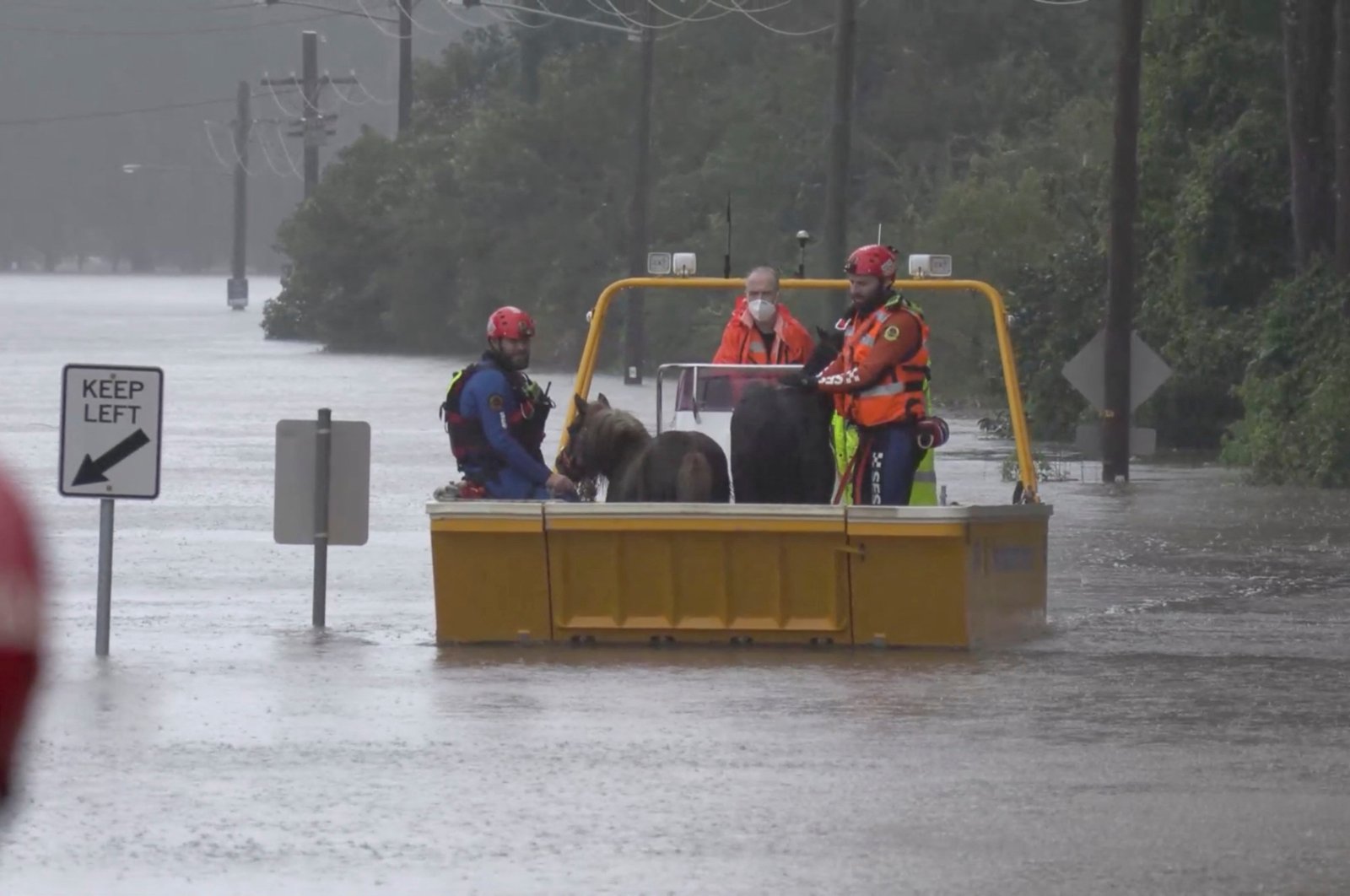 An emergency crew rescues two ponies from a flooded area in Milperra, Sydney metropolitan area, Australia, July 3, 2022 in this screen grab obtained from a handout video. (Reuters Photo)