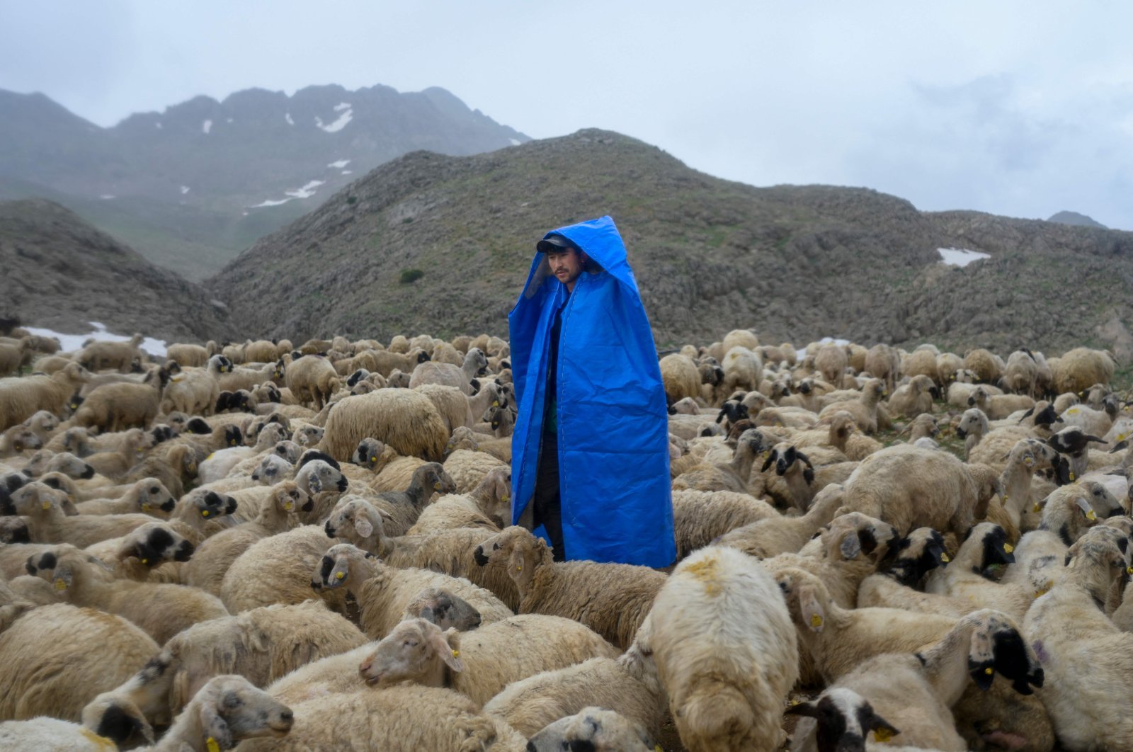 Hafiz, an Afghan shepherd, stands in the rain in Tunceli, Turkey, June 13, 2022. (AFP PHOTO)