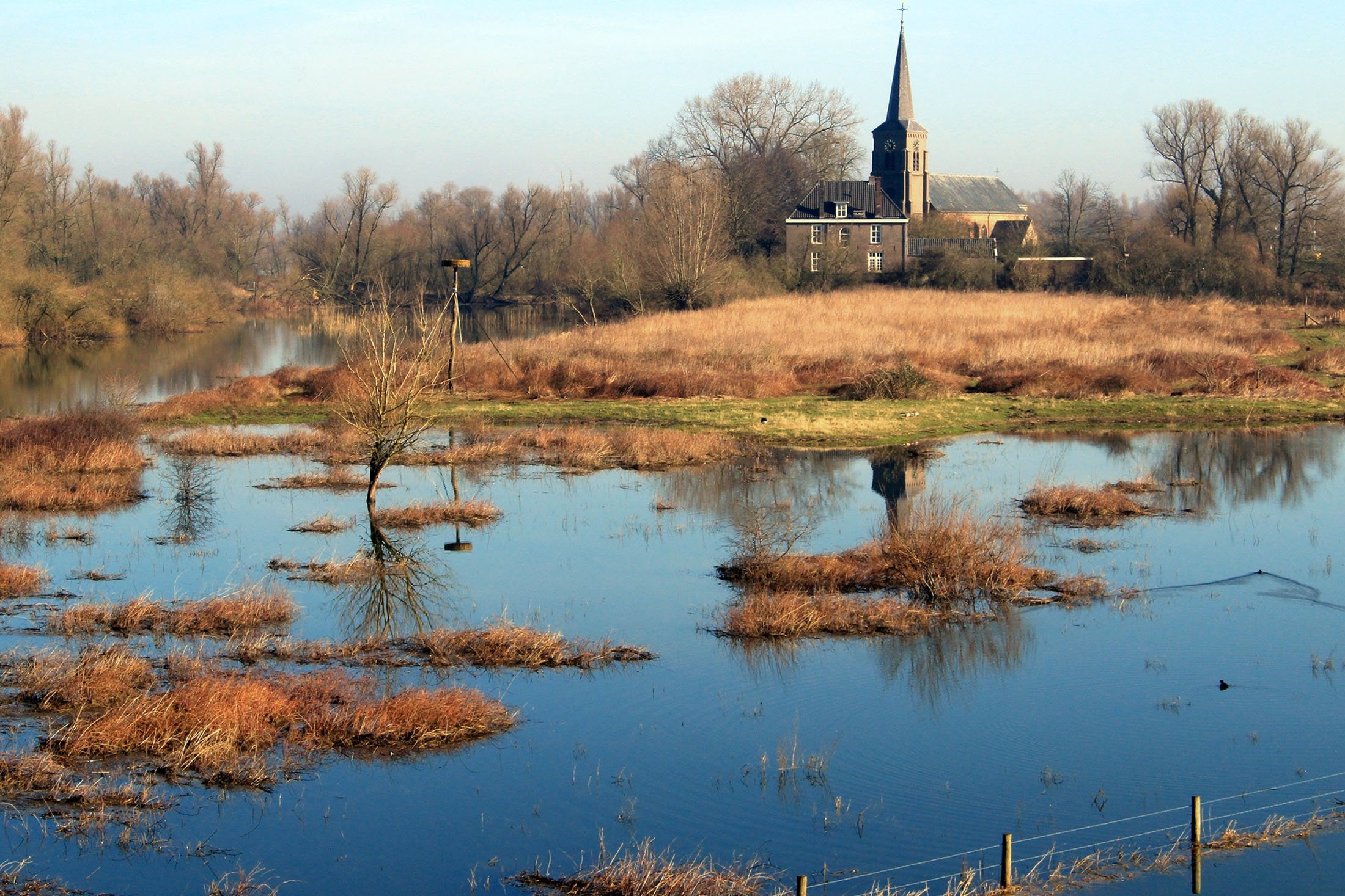 Millingerwaard dicirikan oleh lanskap dataran banjir yang kasar.  (foto dpa)