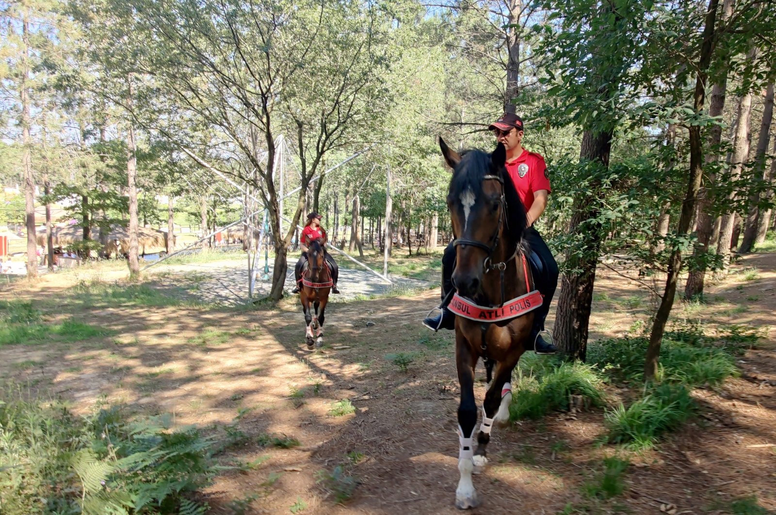 Mounted police patrol a forest against forest fire risks, in Istanbul, Turkey, July 2, 2022. (AA Photo)