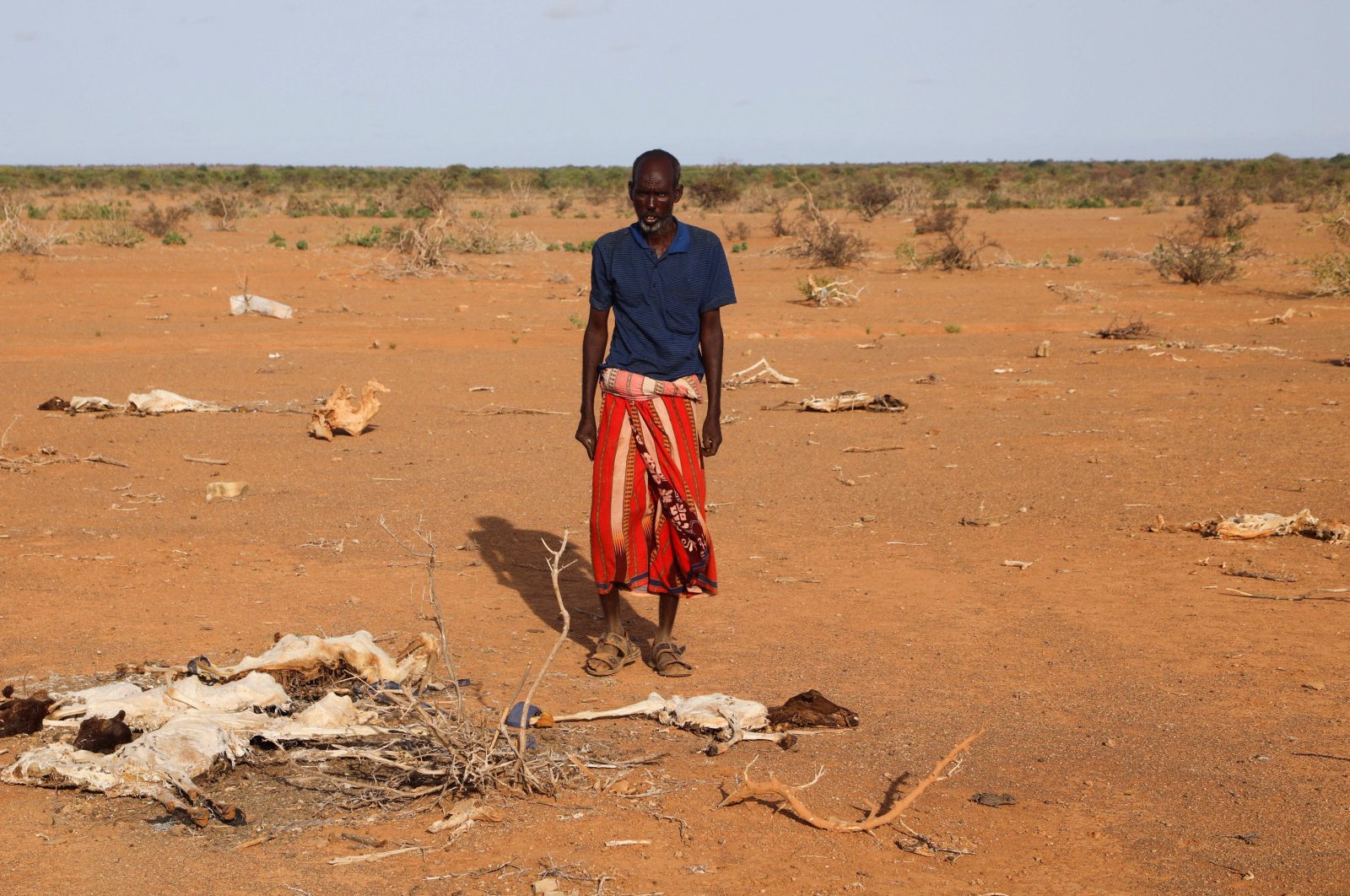 Dhicis Guray, an internally displaced Somali man looks at the carcass of his dead livestock following severe droughts near Dollow, Gedo Region, Somalia, May 26, 2022. (Reuters Photo)