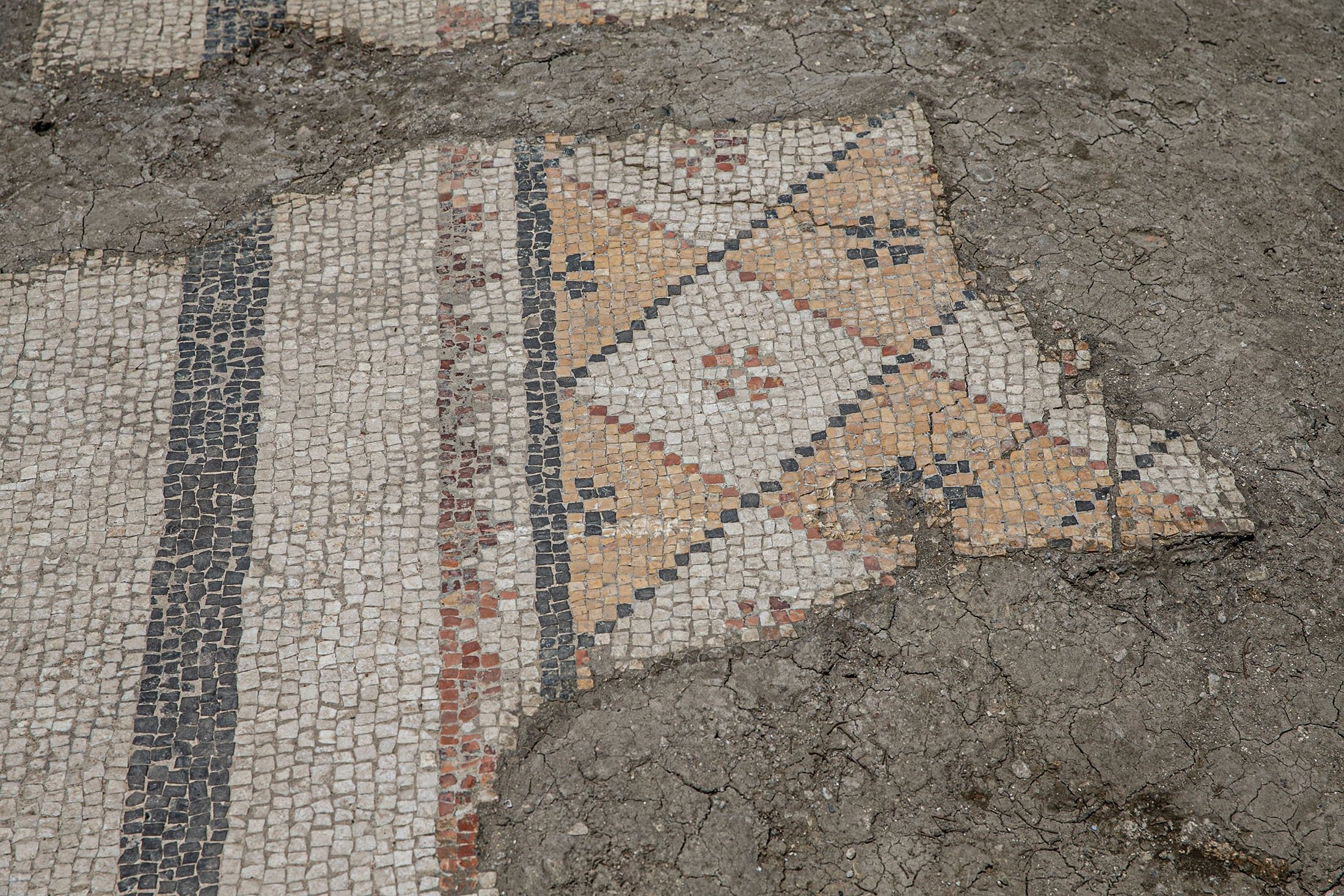 The mosaic on the floor of a recently discovered Roman villa in the Defne district of Hatay, southern Turkey, July 4, 2022. (AA Photo)