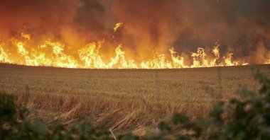 Flames rage in a field during a fire in Arraiza, northern Spain, June 18, 2022. (AP Photo)