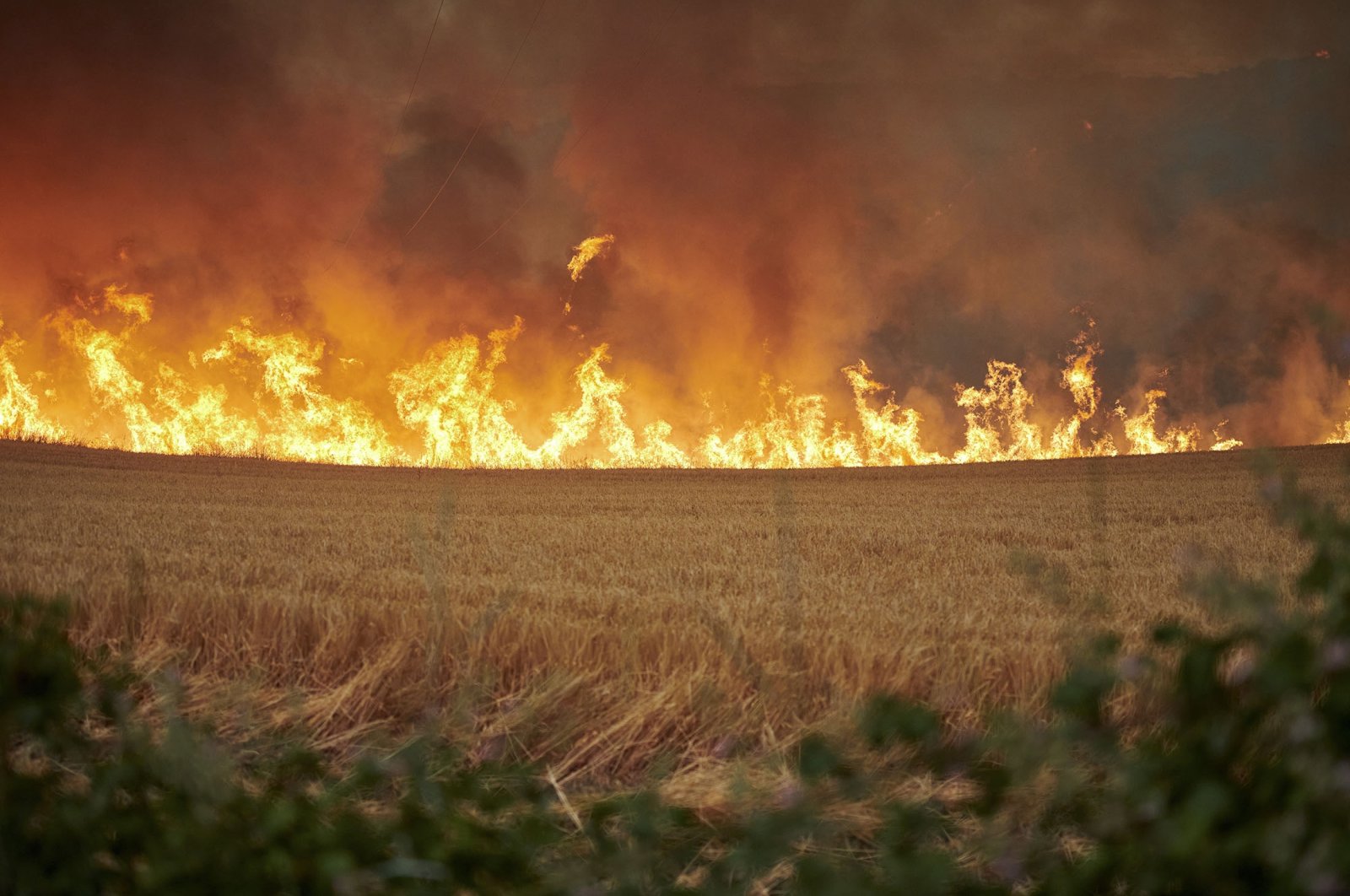 Flames rage in a field during a fire in Arraiza, northern Spain, June 18, 2022. (AP Photo)