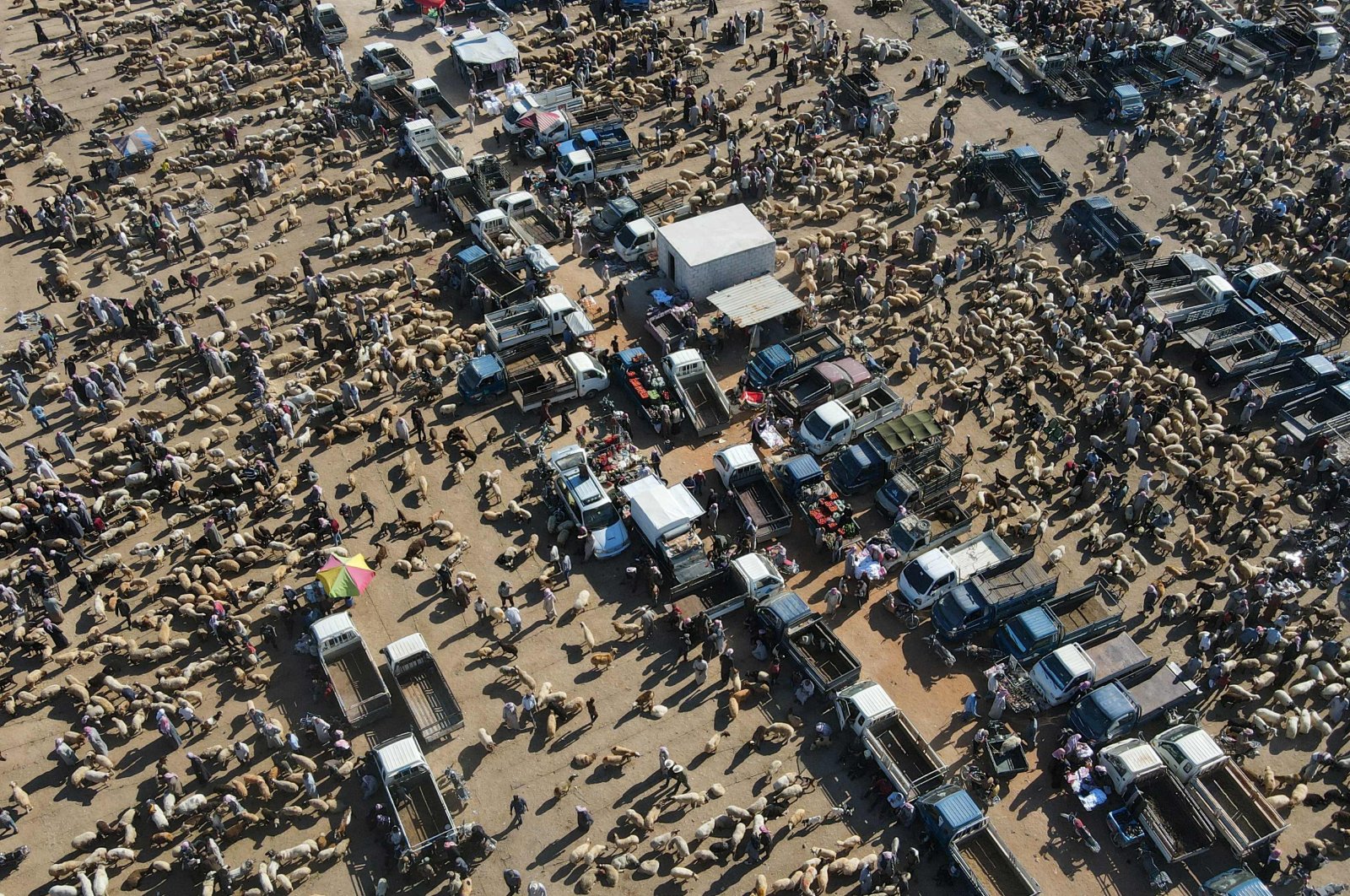 An aerial picture taken by drone shows a livestock market on the outskirts of the opposition-held town of Dana, in the northwestern Idlib province near the Turkish-Syrian border, July 4, 2022. (AFP)