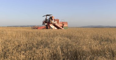A farmer drives a harvester through a wheat field in the Cebalet Ben Ammar region, north of the capital Tunis, Tunisia, on June 16, 2022. (AFP Photo)