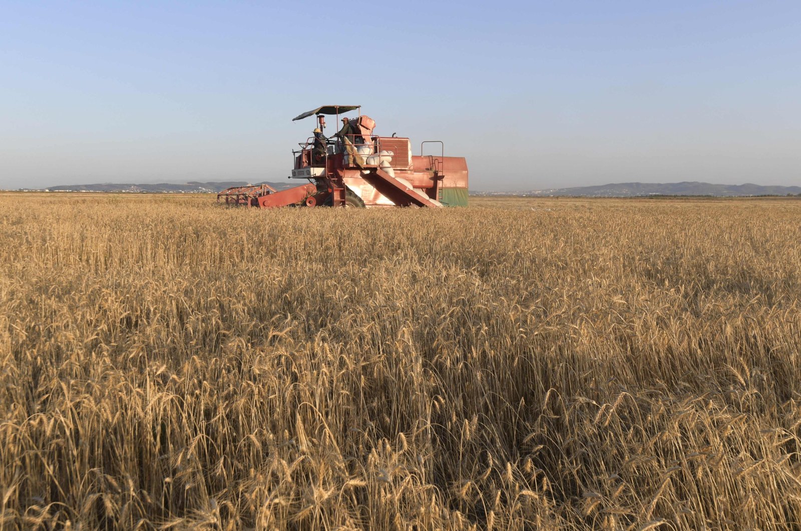 Malaysia mencari impor gandum dari Turki untuk diversifikasi sumber
