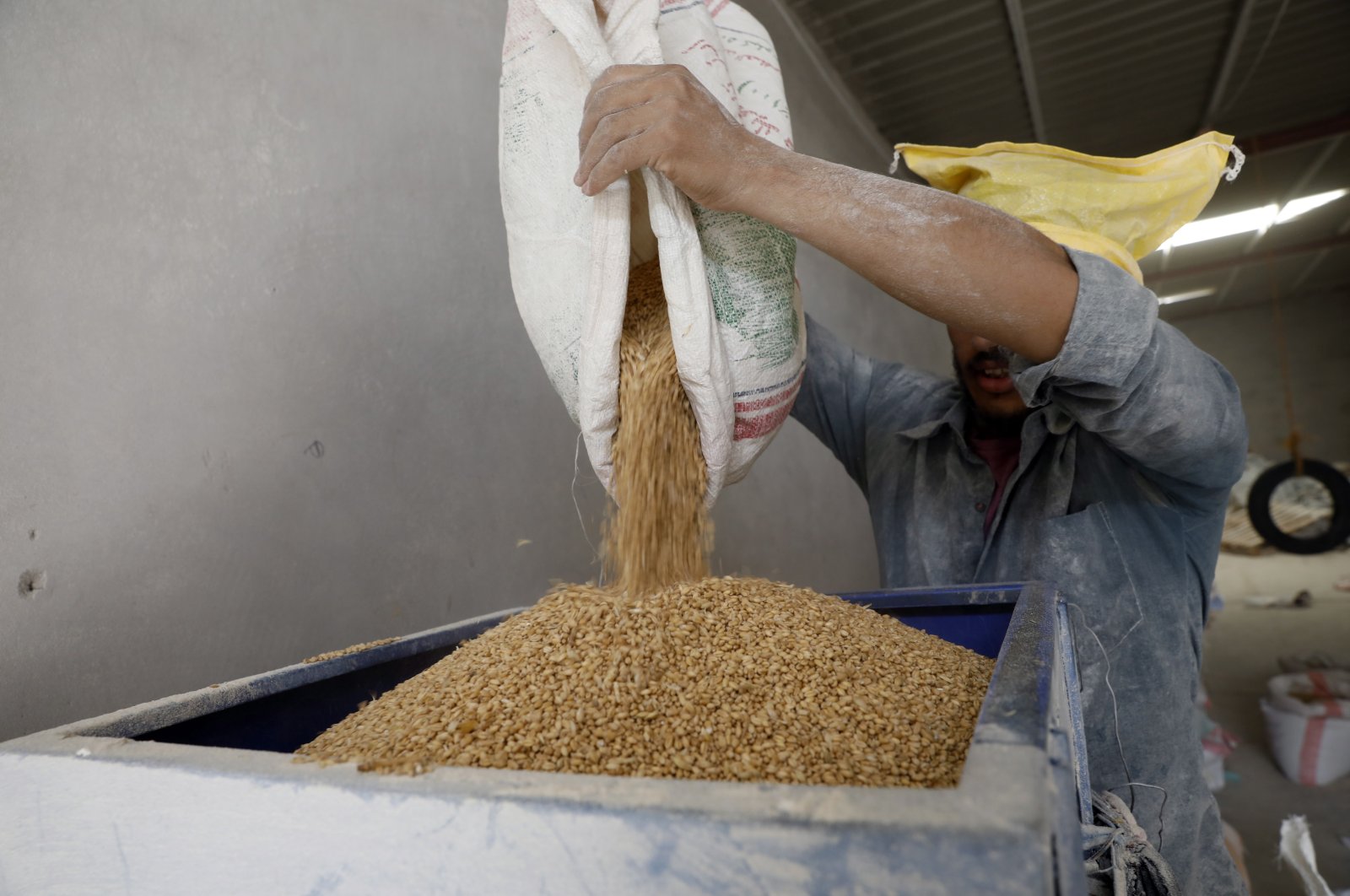 A Yemeni pours wheat grains into a flour mill in Sanaa, Yemen, June 11, 2022. (EPA Photo)