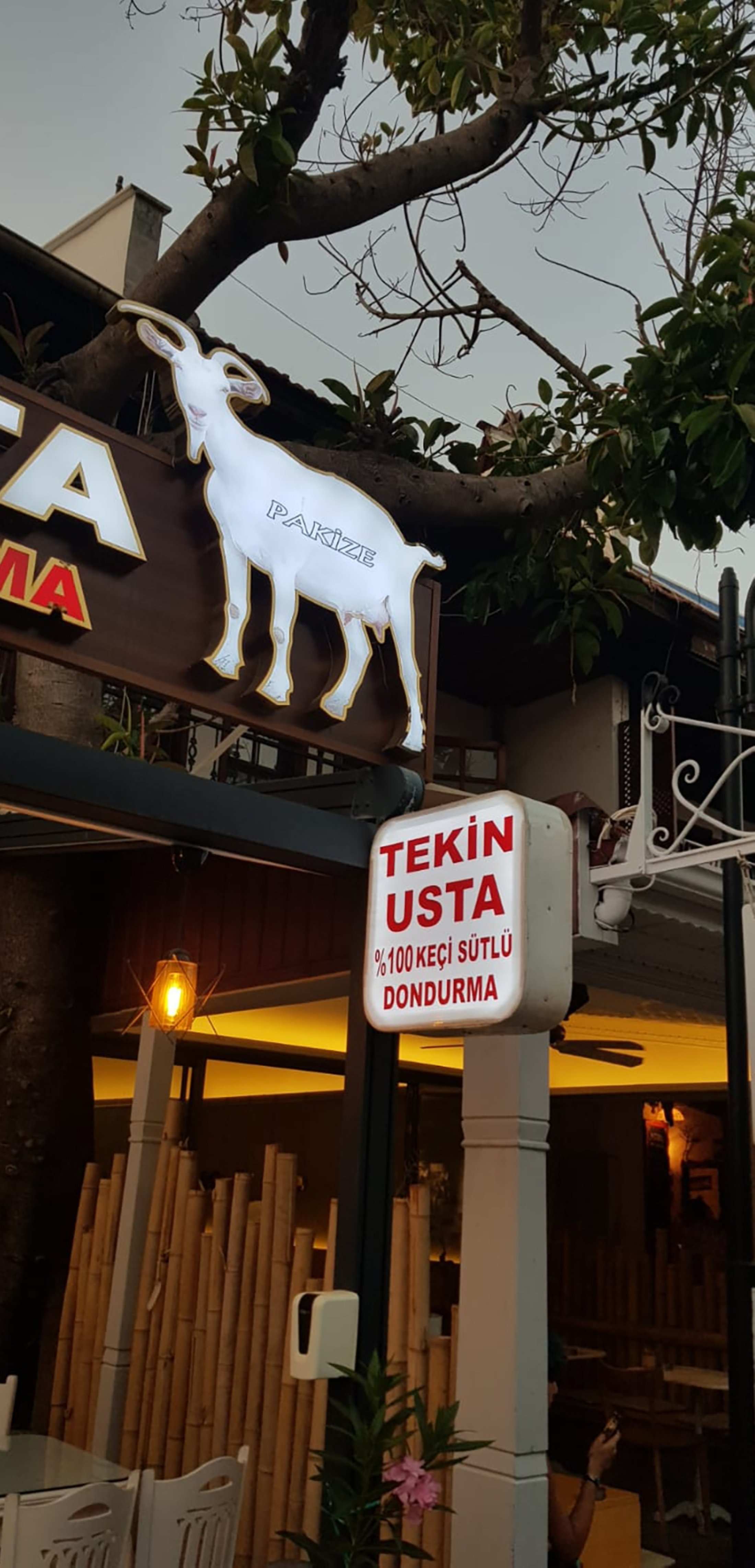 Tekin Usta Keçi Sütü Dondurma Dükkanı Muğla, Türkiye.  (Fotoğraf, Layla Yvonne Argyll'in izniyle)
