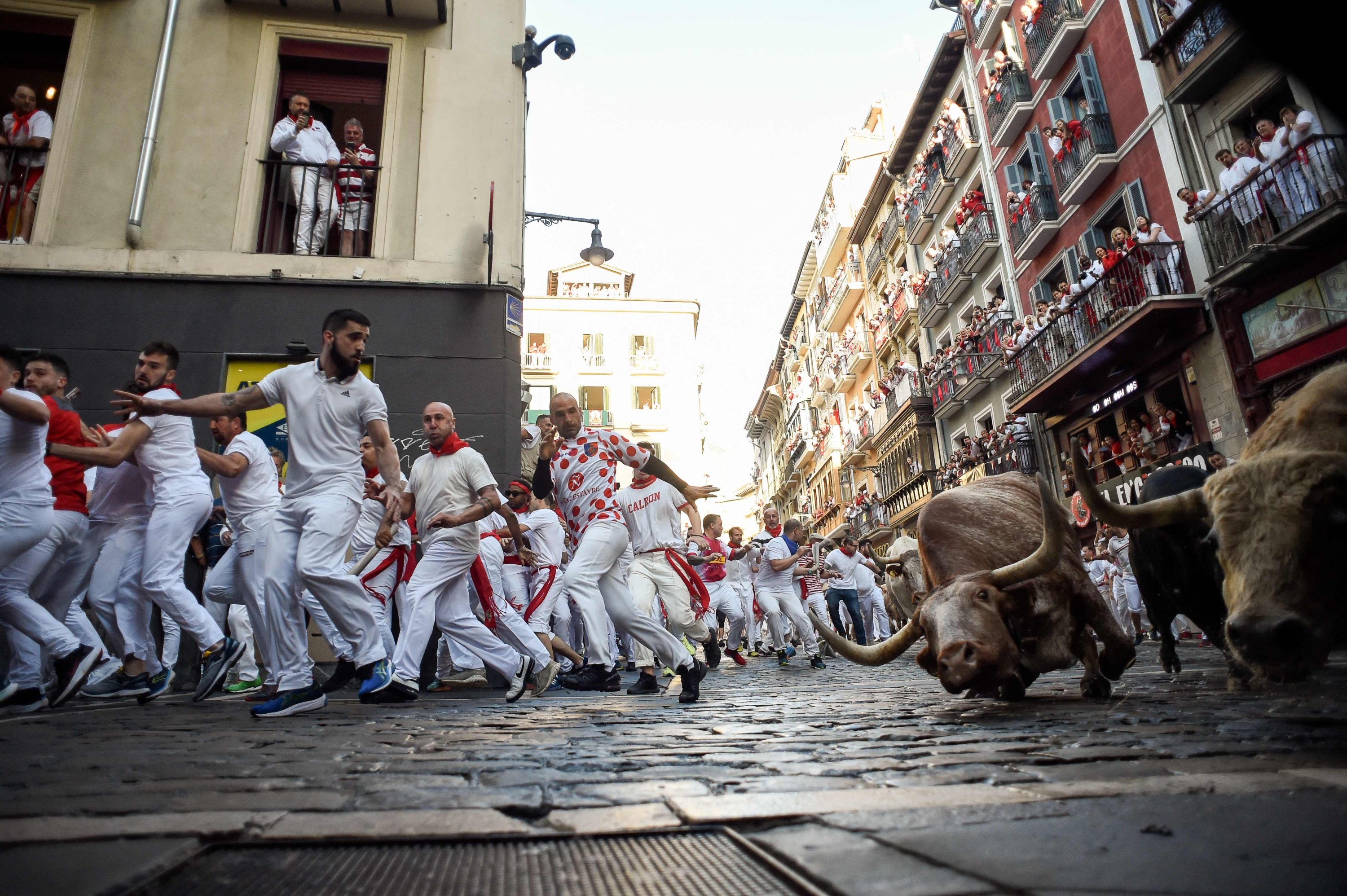 Sicilien vakuum Baby Running with the bulls: Spain reprises wild festival | Daily Sabah