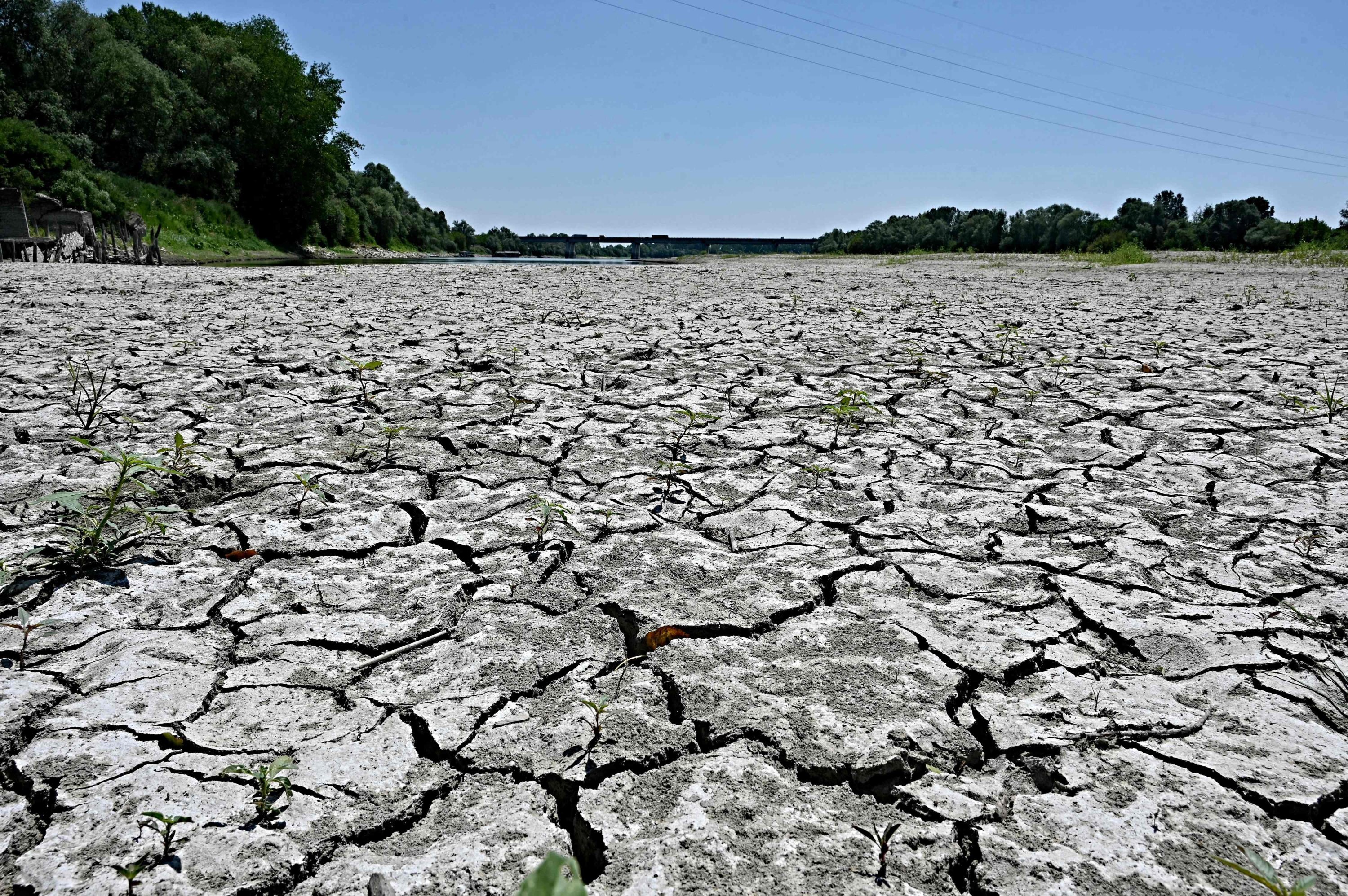 The dried-up river bed of the Po river, in the area of the municipality of Occhiobello, in the region of Veneto, Italy, July 5, 2022. (AFP Photo)