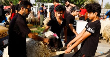 Iraqi men move a sacrificial ram after purchasing it from a livestock market, ahead of the Eid al-Adha festival, in Baghdad, Iraq, July 8, 2022. (Reuters Photo)