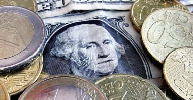 Euro coins and dollar bills are seen in Frankfurt, Germany, Feb. 27, 2008. (AP Photo)
