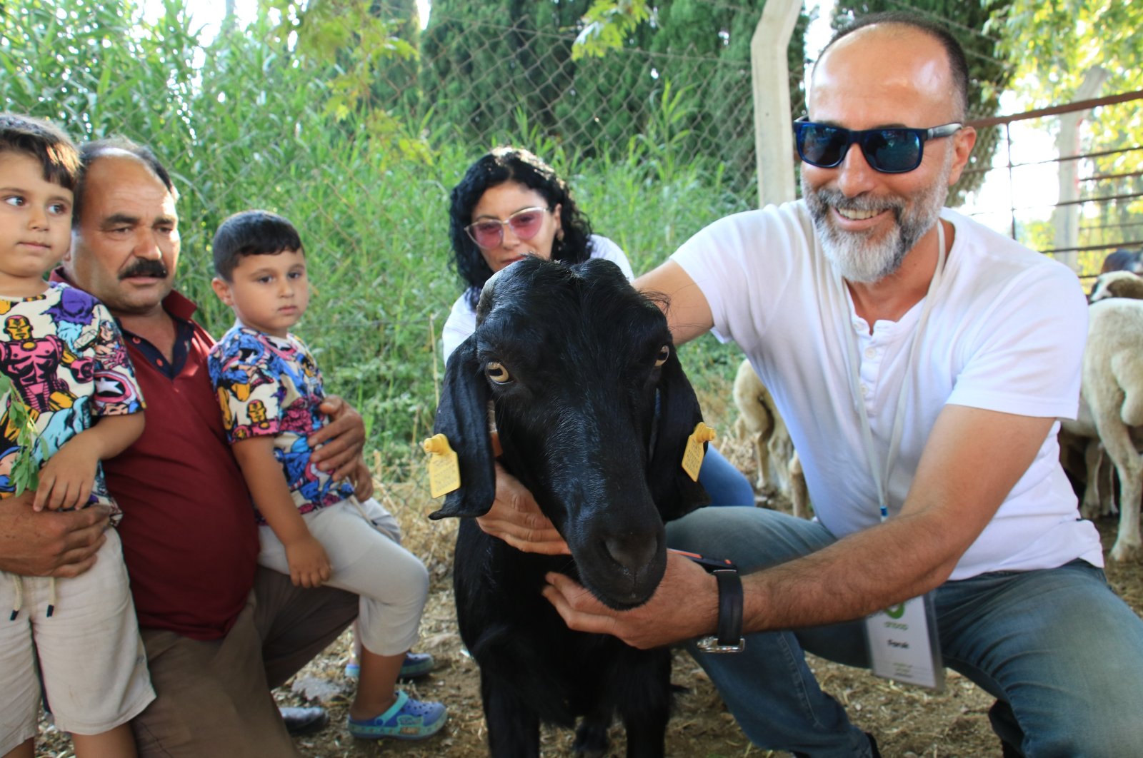 Kambing pelarian untuk bergabung dengan ‘Ferdinand’ di Izmir setelah melarikan diri dari pengorbanan