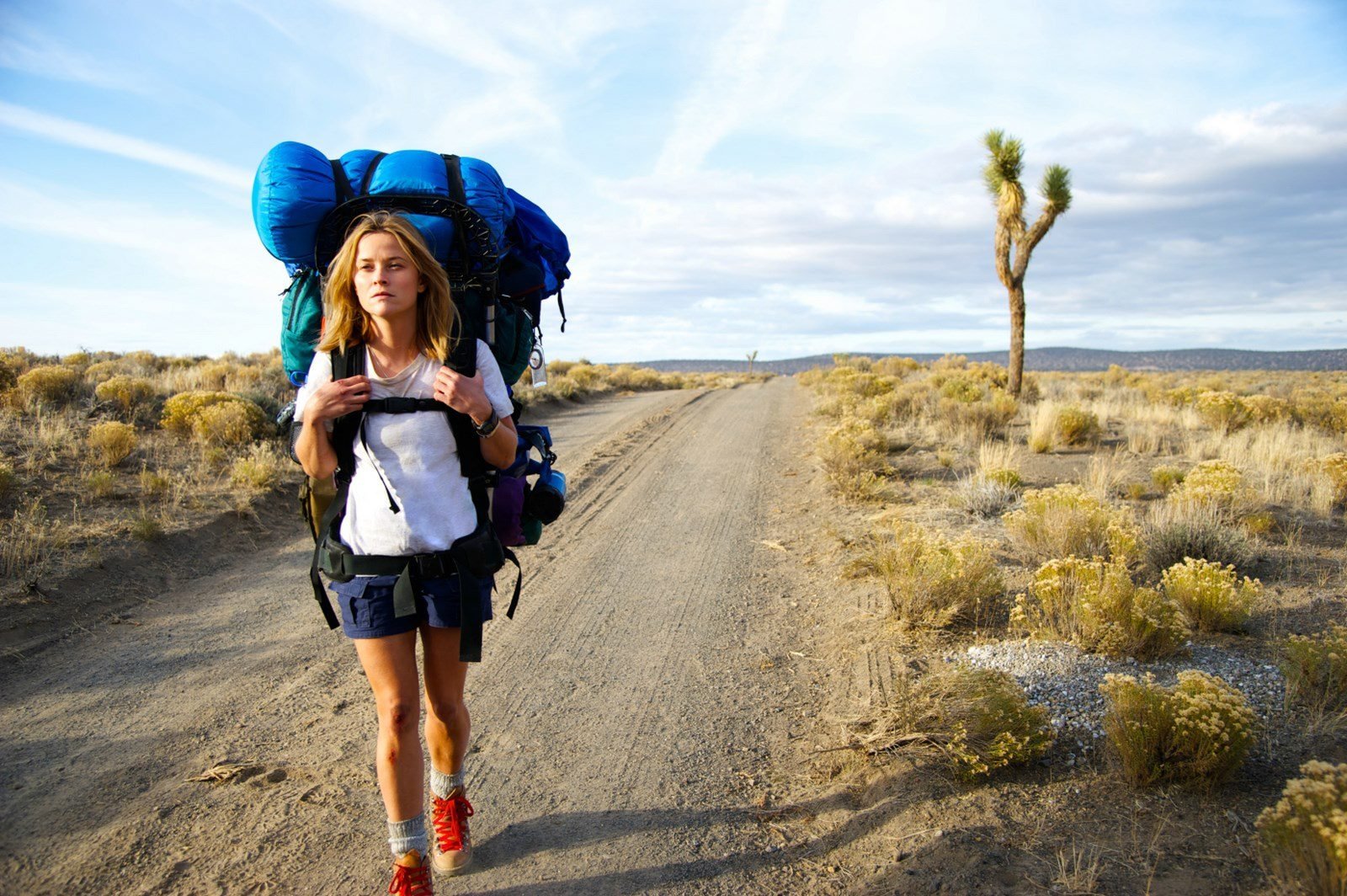&quot;Wild&quot; is a 2014 American biographical adventure drama film directed by Jean-Marc Vallée and starring Reese Witherspoon, July 18, 2015. (Shutterstock Photo)