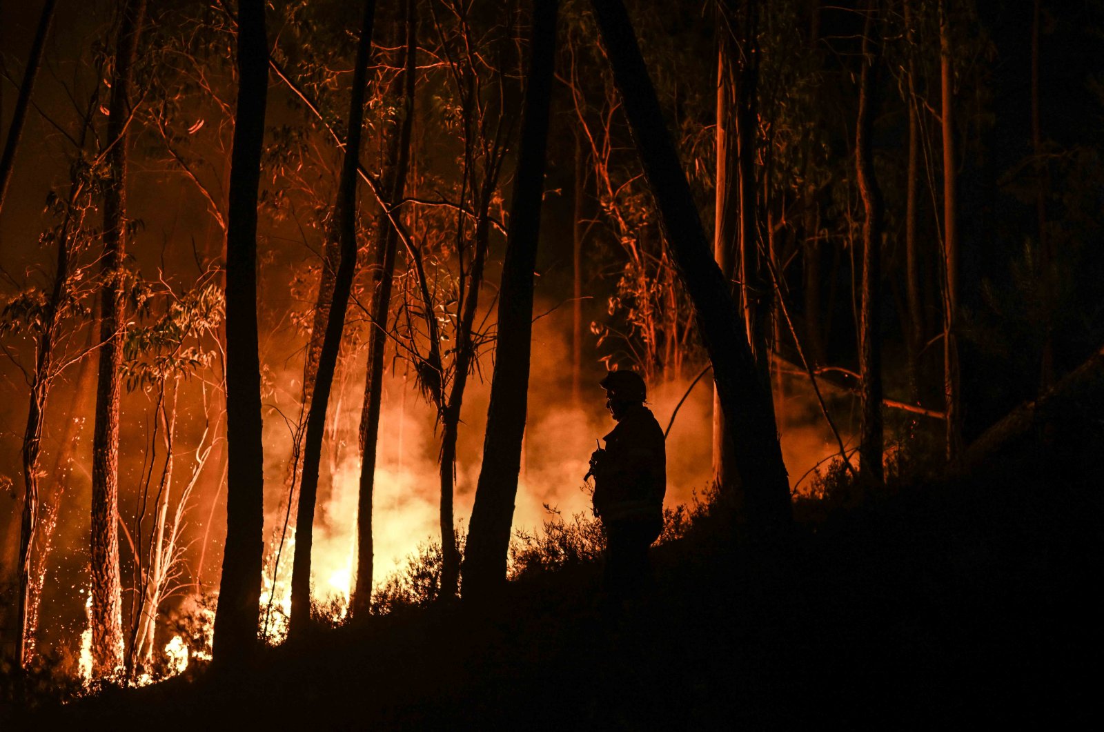 A silhouette of a firefighter standing in the forest is pictured during a wildfire at Casais do Vento in Alvaiazere, July 10, 2022. (AFP Photo)
