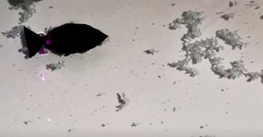 A fish-shaped tiny robot, which researchers say can suck up microplastics in shallow water, moves under the direction of a near-infrared (NIR) light, July 12, 2022. (Reuters Photo)