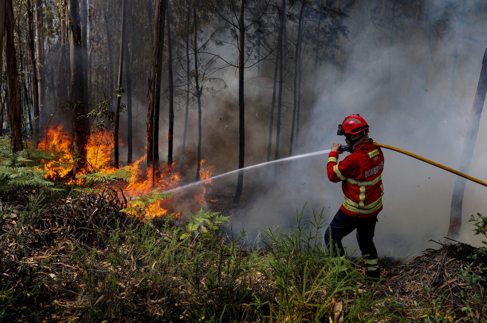 A firefighter uses a hose during firefighting operations at Espite in Ourem, Portugal, July 13, 2022. (AFP Photo)