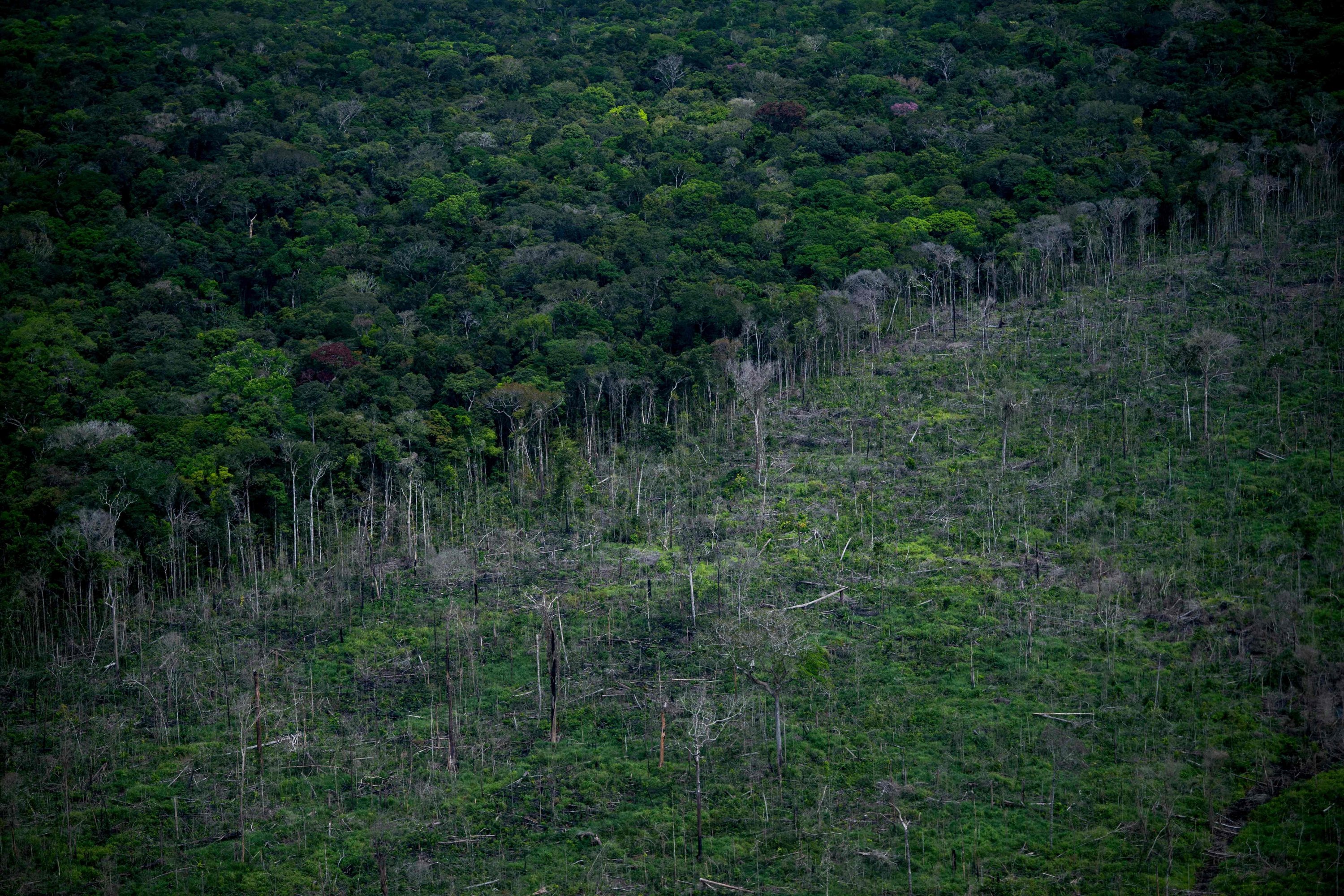 Pemandangan dari udara menunjukkan area hutan hujan Amazon yang gundul terlihat selama penerbangan antara Manaus dan Manicore, di Negara Bagian Amazonas, Brasil, 6 Juni 2022. (AFP Photo)