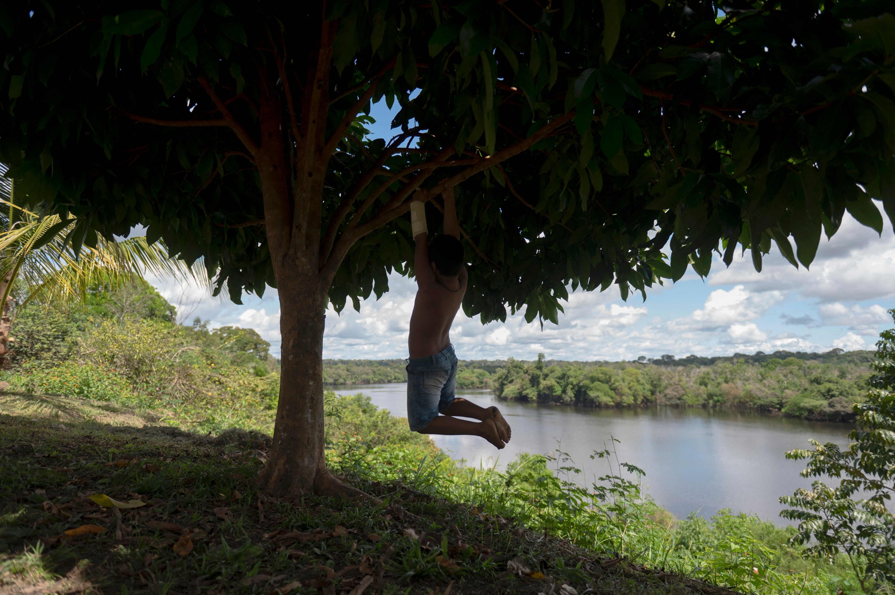 Seorang anak bermain di pohon di komunitas tepi sungai Boa Fe, di tepi sungai Manicore, jauh di dalam hutan hujan Amazon di Negara Bagian Amazonas Brasil, 7 Juni 2022. (AFP Photo)