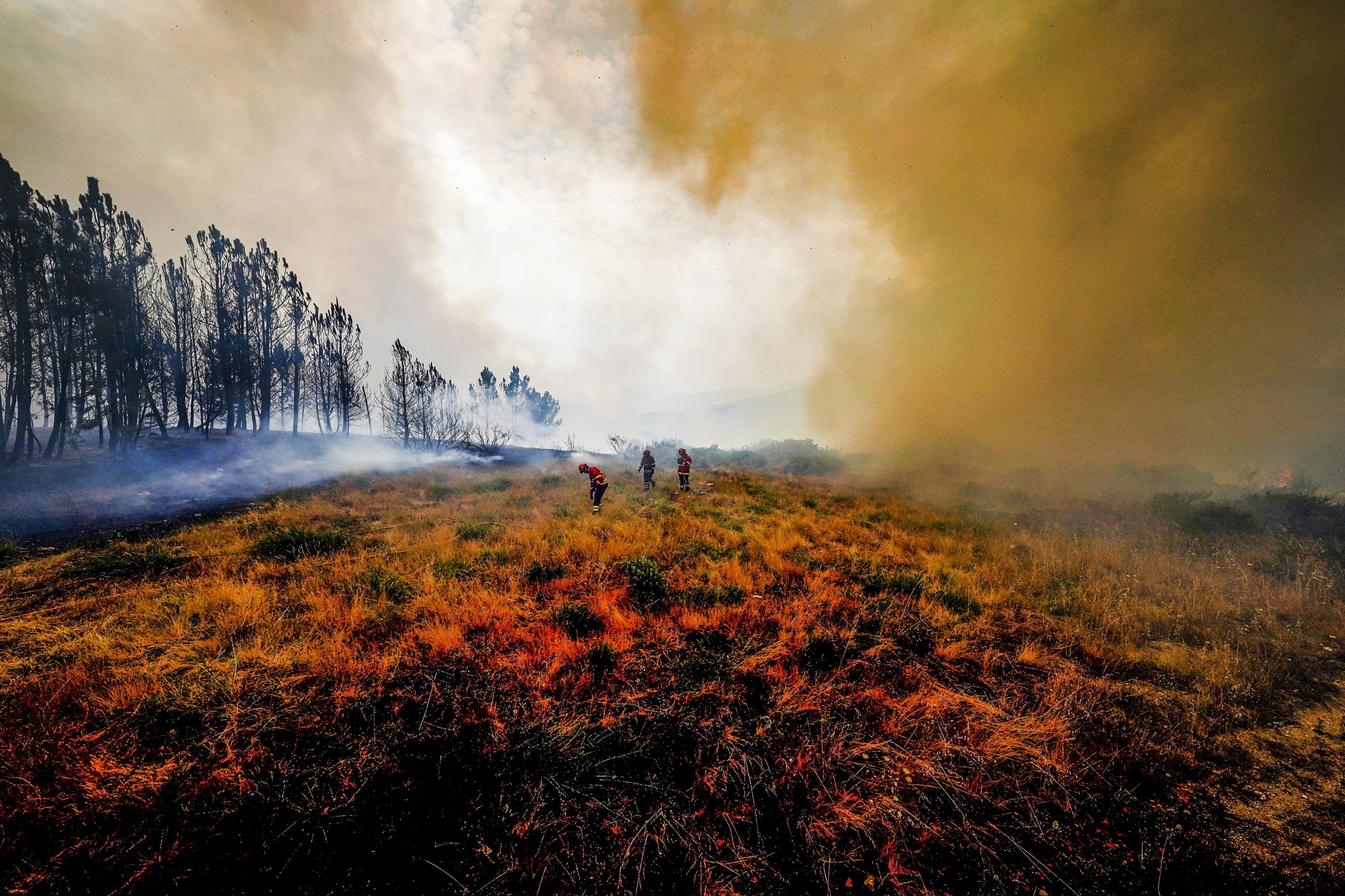 At Least 1 100 People Have Died In Spain And Portugal From Heat related 