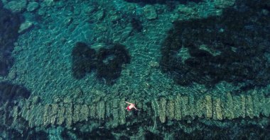 A visitor looks at the ruins as he swims at the underwater archaeological park of the ancient port of Amathus in Limassol, Cyprus, July 9, 2022. (Reuters Photo)