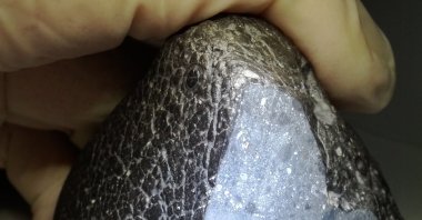 The Martian meteorite nicknamed "Black Beauty" weighs approximately 11 ounces (320 grams), Jan. 25, 2019. (NASA Photo)