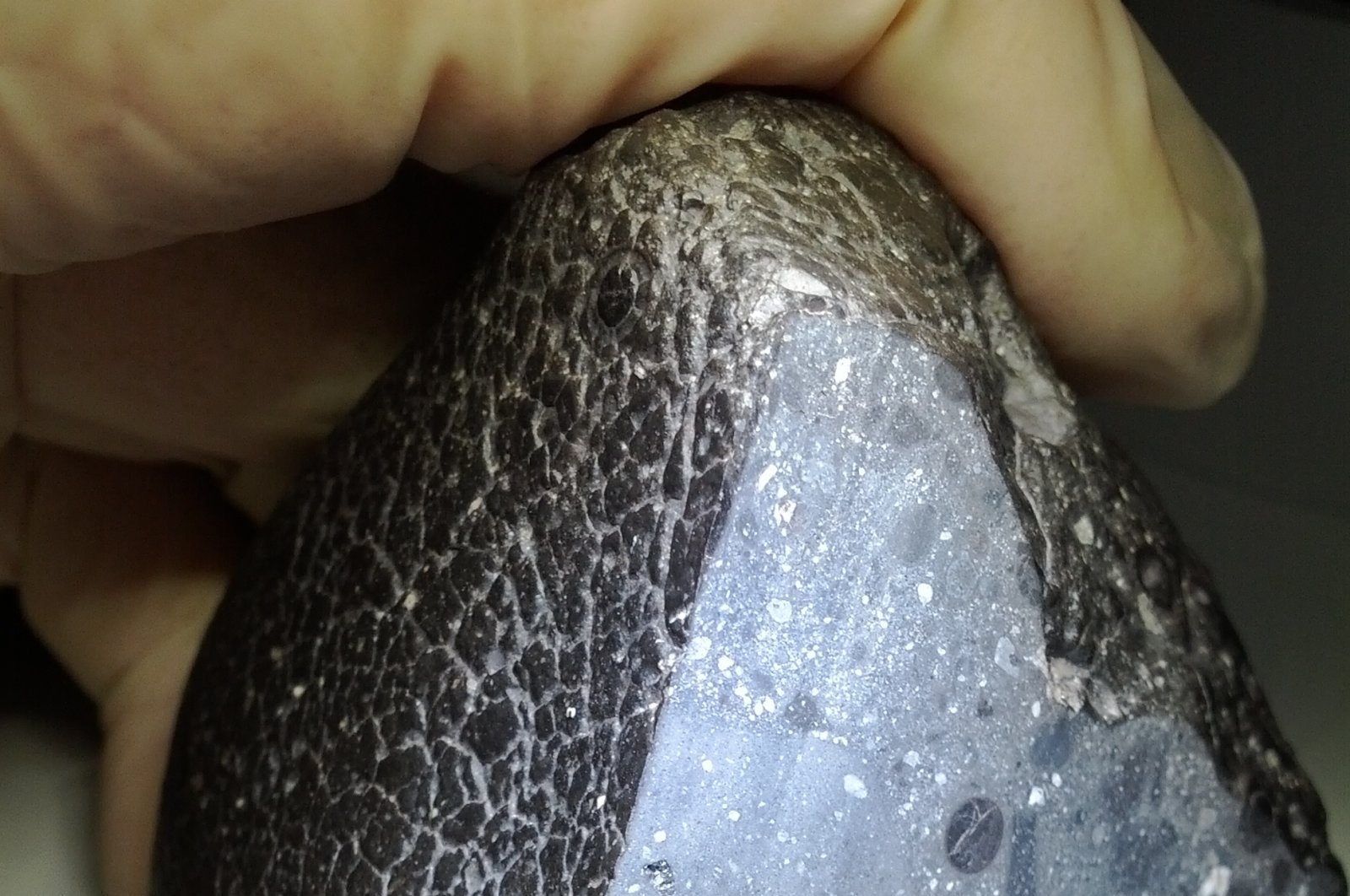 Meteorit Mars tertua ‘Black Beauty’ untuk mengungkap asal usul Bumi