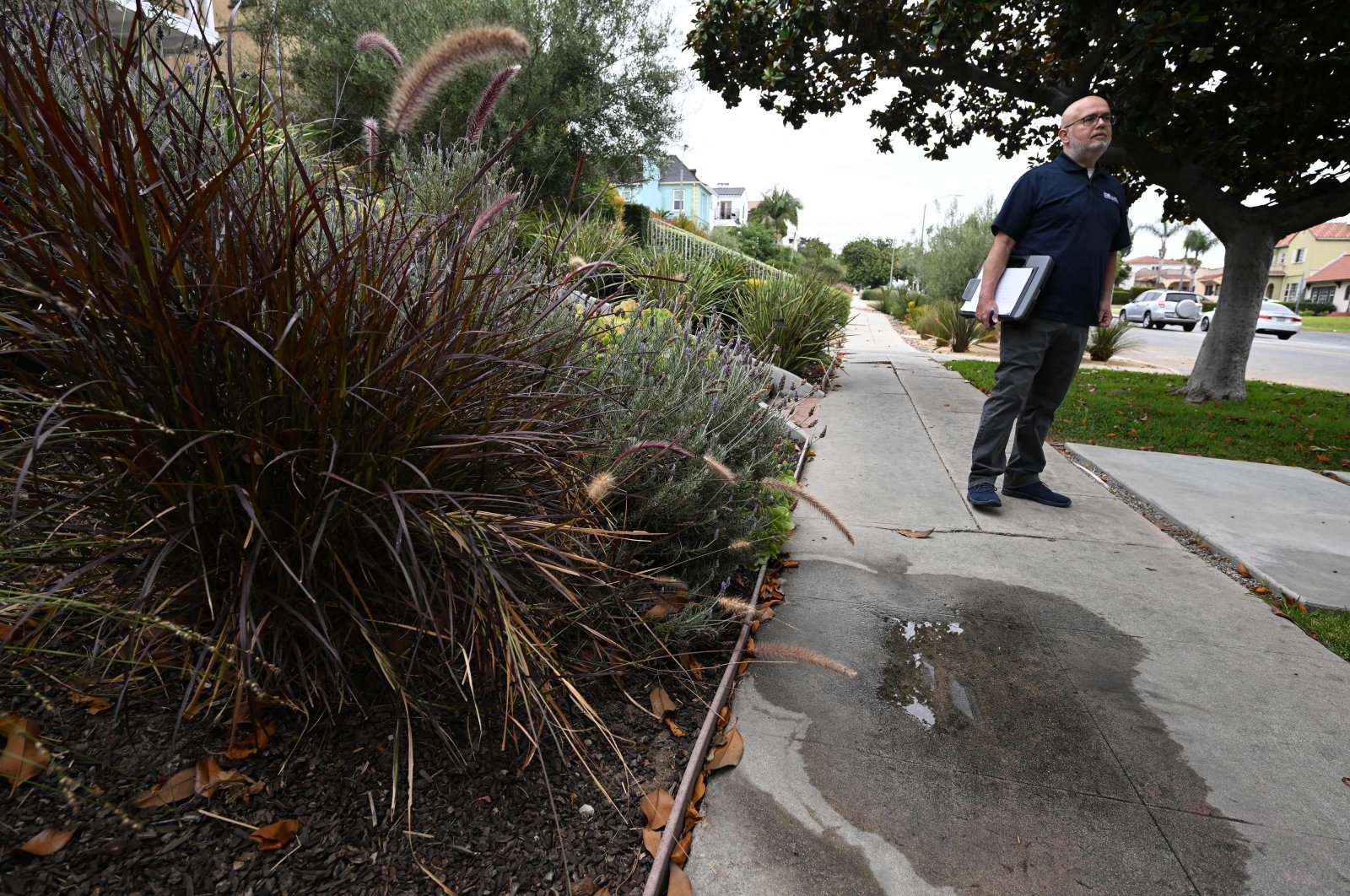 Los Angeles Department of Water and Power (LADWP) Water Conservation Specialist Damon Ayala stops in front of water pooling on the pavement while on a patrol in search of illegal lawn watering and irrigation leakage, Los Angeles, U.S., July 6, 2022. (AFP Photo)