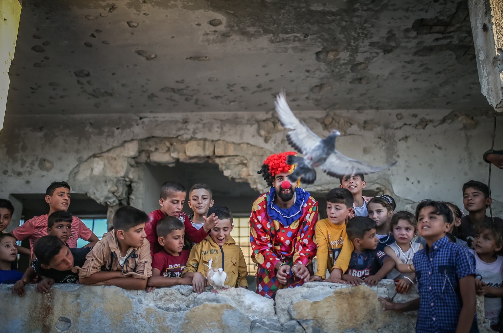 Displaced children and a clown who volunteers to entertain them watch as a pigeon flies in war-hit Idlib, northern Syria, July 11, 2022. (AA Photo)