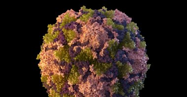 This 2014 illustration made available by the U.S. Centers for Disease Control and Prevention depicts a polio virus particle. (AP Photo)