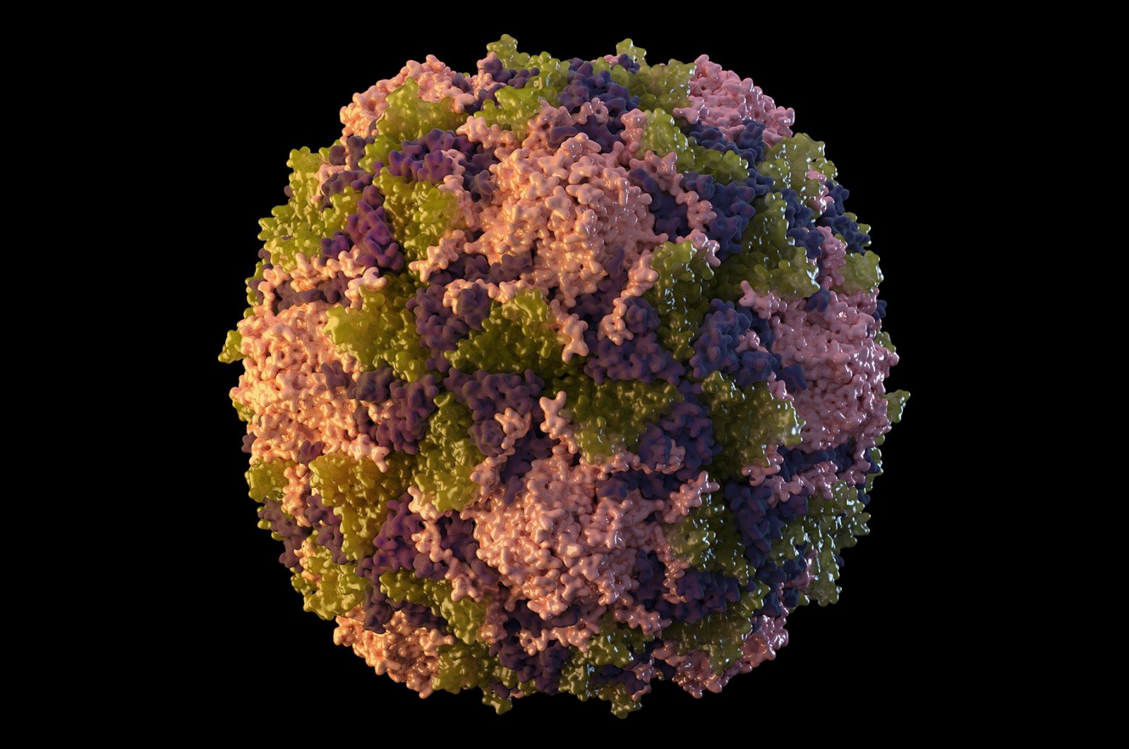 This 2014 illustration made available by the U.S. Centers for Disease Control and Prevention depicts a polio virus particle. (AP Photo)