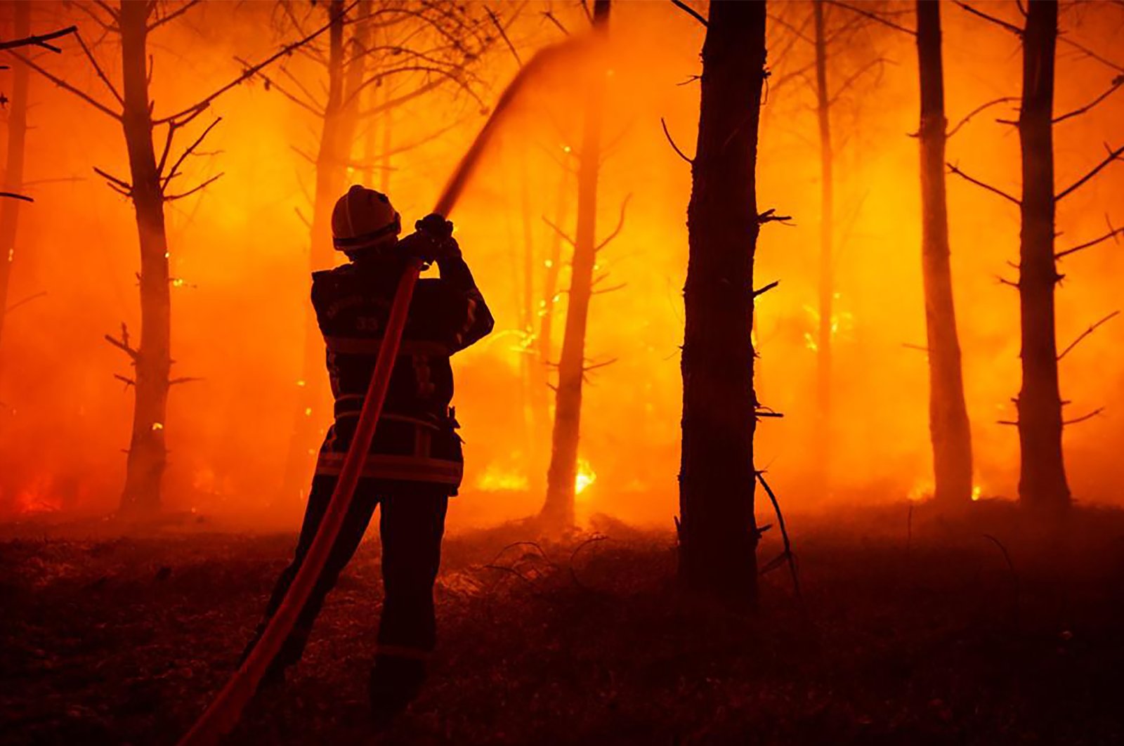 This photo provided by the fire brigade of the Gironde region (SDIS 33) shows a firefighter puts water on a trees at a forest fire at La Test-de-Buch, southwestern France, July 18, 2022. (SDIS 33 via AP)