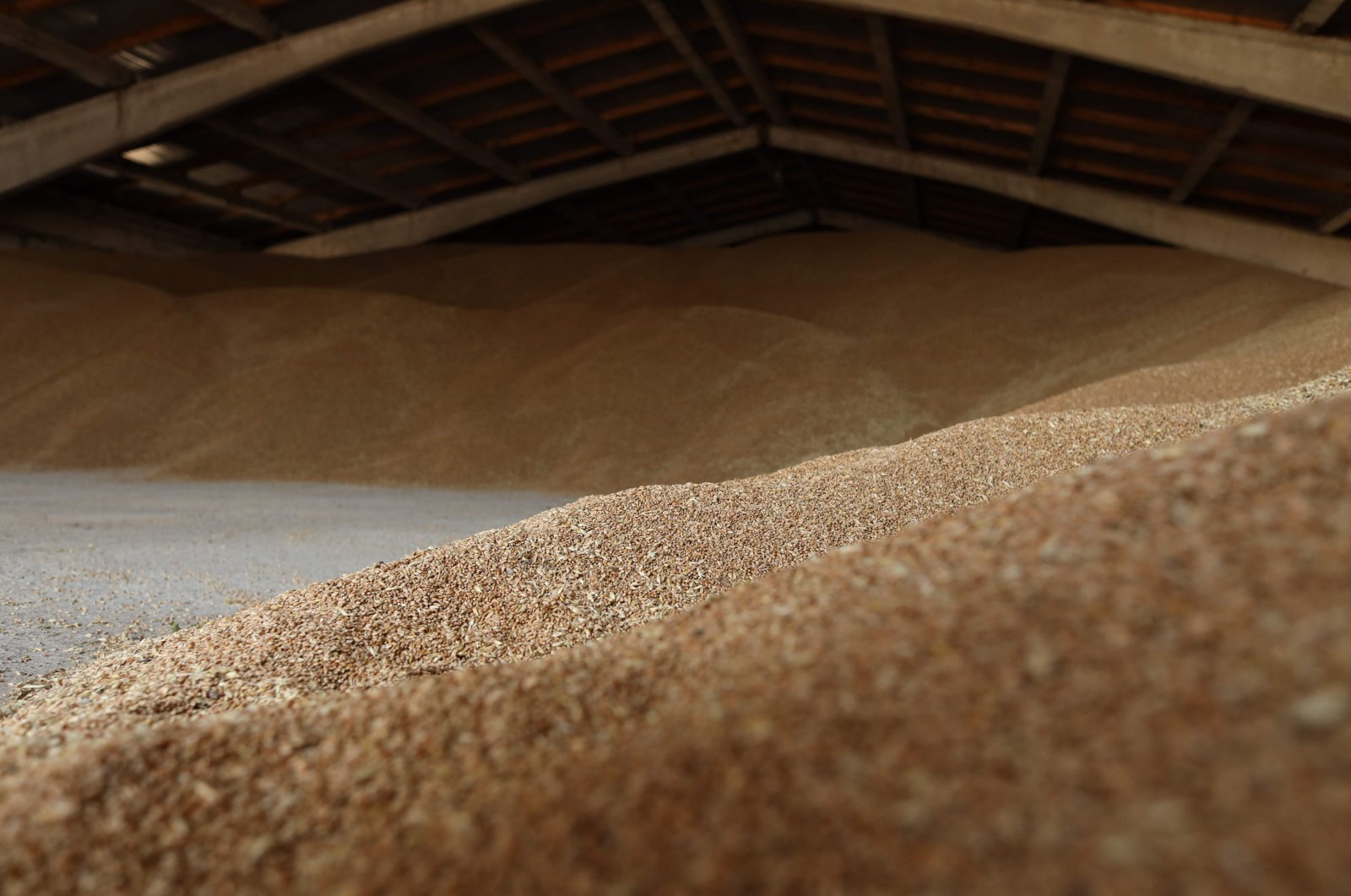 Wheat grains in a storage facility on a farm near Izmail, in the Odessa region, amid the Russian invasion of Ukraine, June 14, 2022. (AFP File Photo)