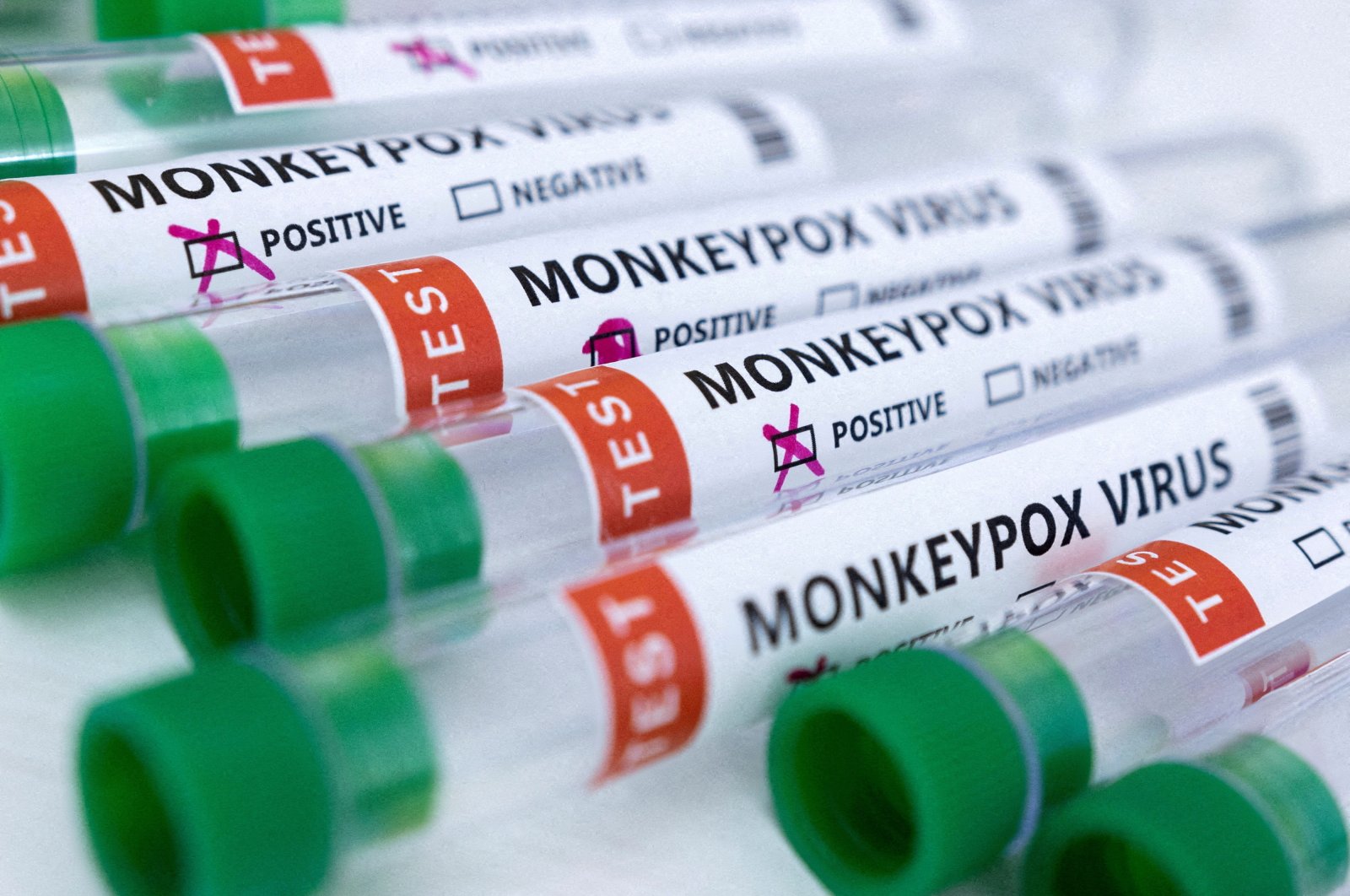 Test tubes labeled &quot;Monkeypox virus positive and negative&quot; are seen, India, May 23, 2022. (Reuters Photo)