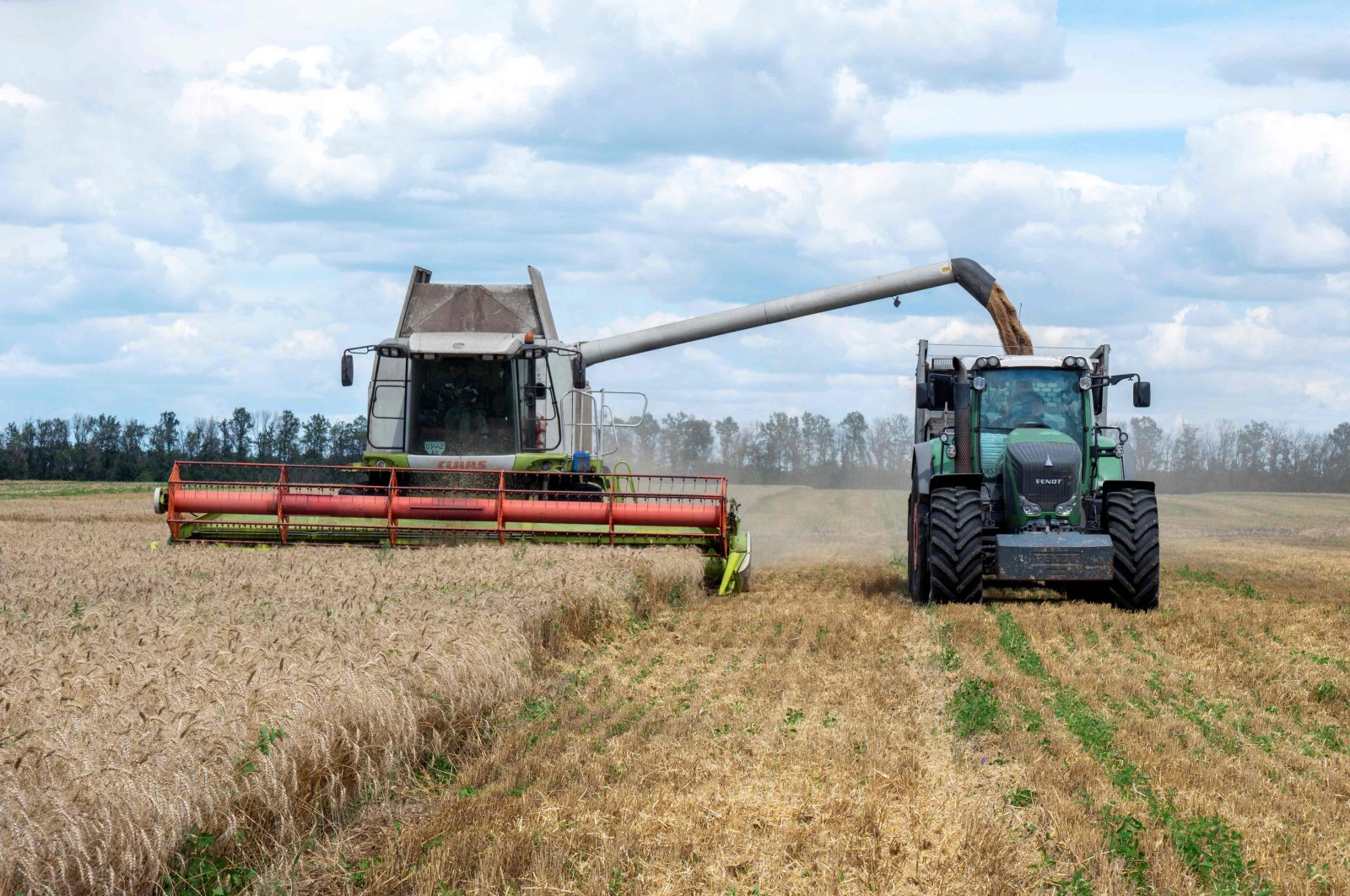 Turki menekankan pentingnya memulai pengiriman gandum dengan cepat ke Ukraina