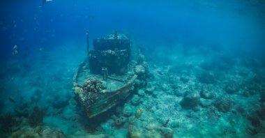A tugboat wreck surrounded by fish off the small Caribbean island of Curacao. (Shutterstock)