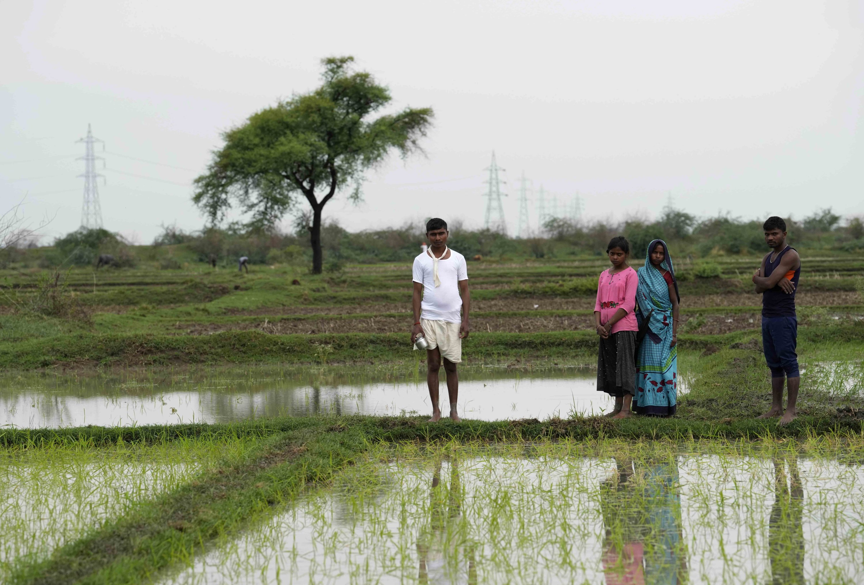 Shipra Bind, wearing pink, who survived a lightning strike, stands by the spot where her sister-in-law Khushboo was killed by lightning on June 25 in a paddy field at Piparaon village on the outskirts of Prayagraj, in the northern Indian state of Uttar Pradesh, July 28, 2022. (AP Photo)
