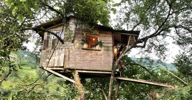 A view of the house in Rize, northern Turkey, July 29, 2022. (AA PHOTO)